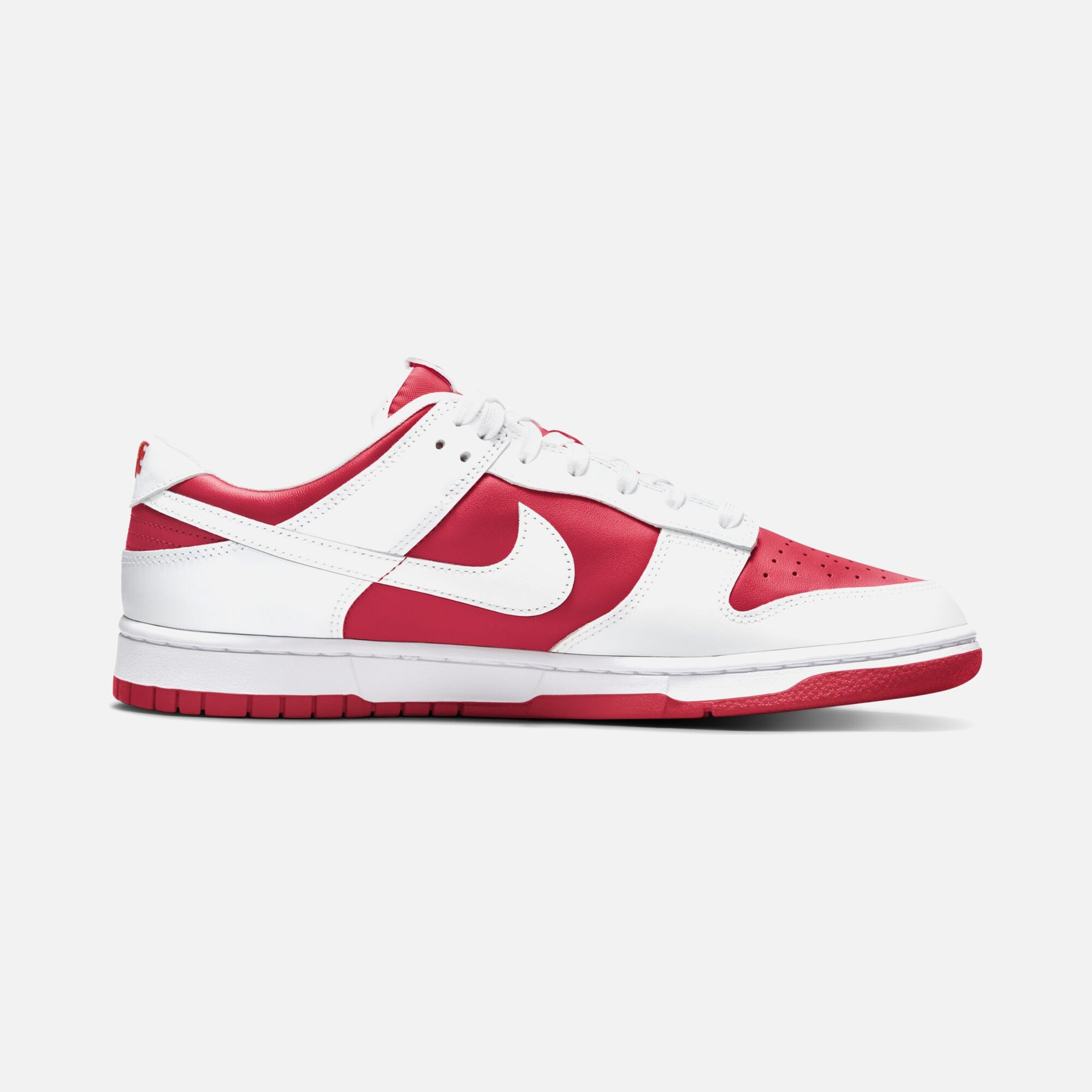 Nike Dunk Low Retro Erkek Spor Ayakkabı