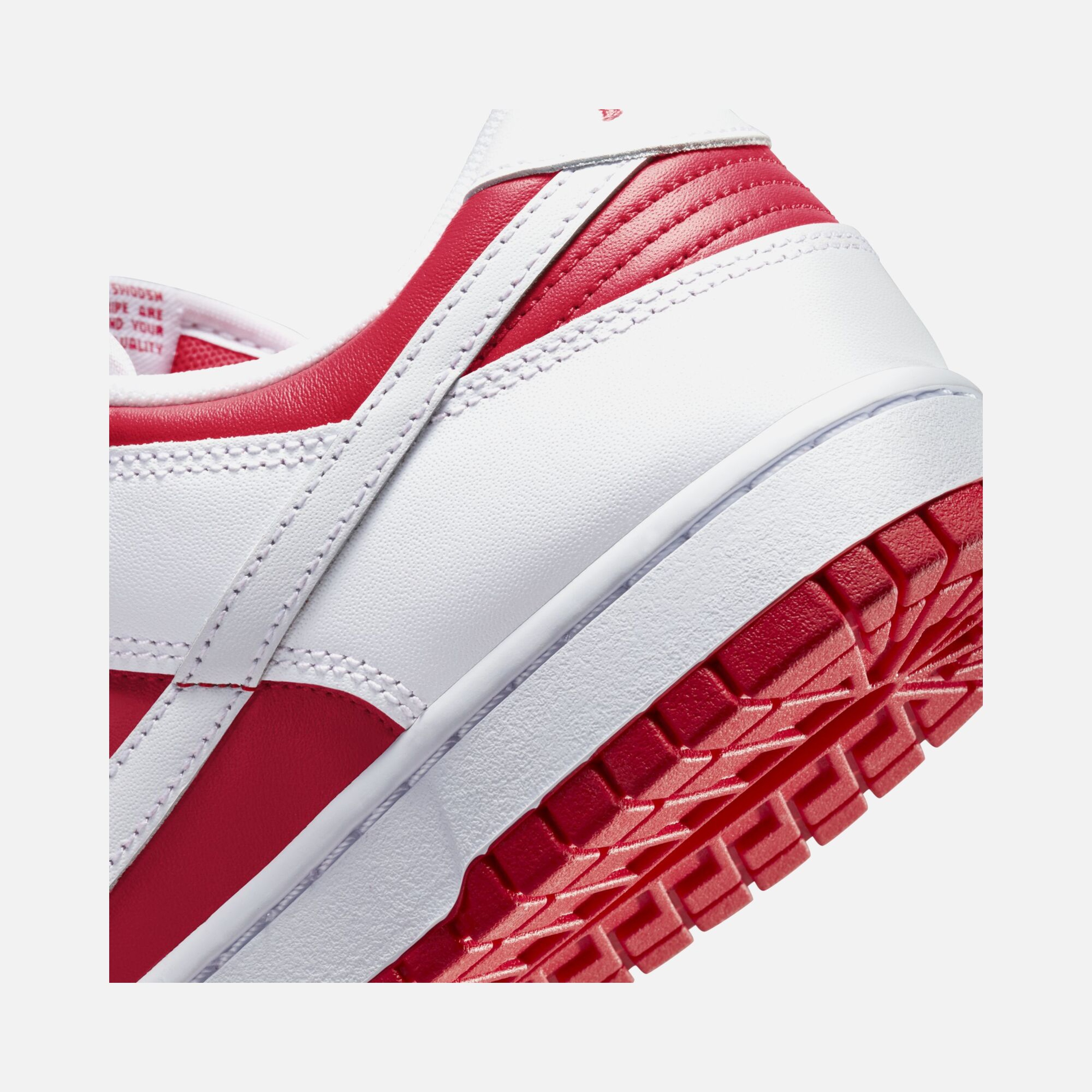 Nike Dunk Low Retro Erkek Spor Ayakkabı