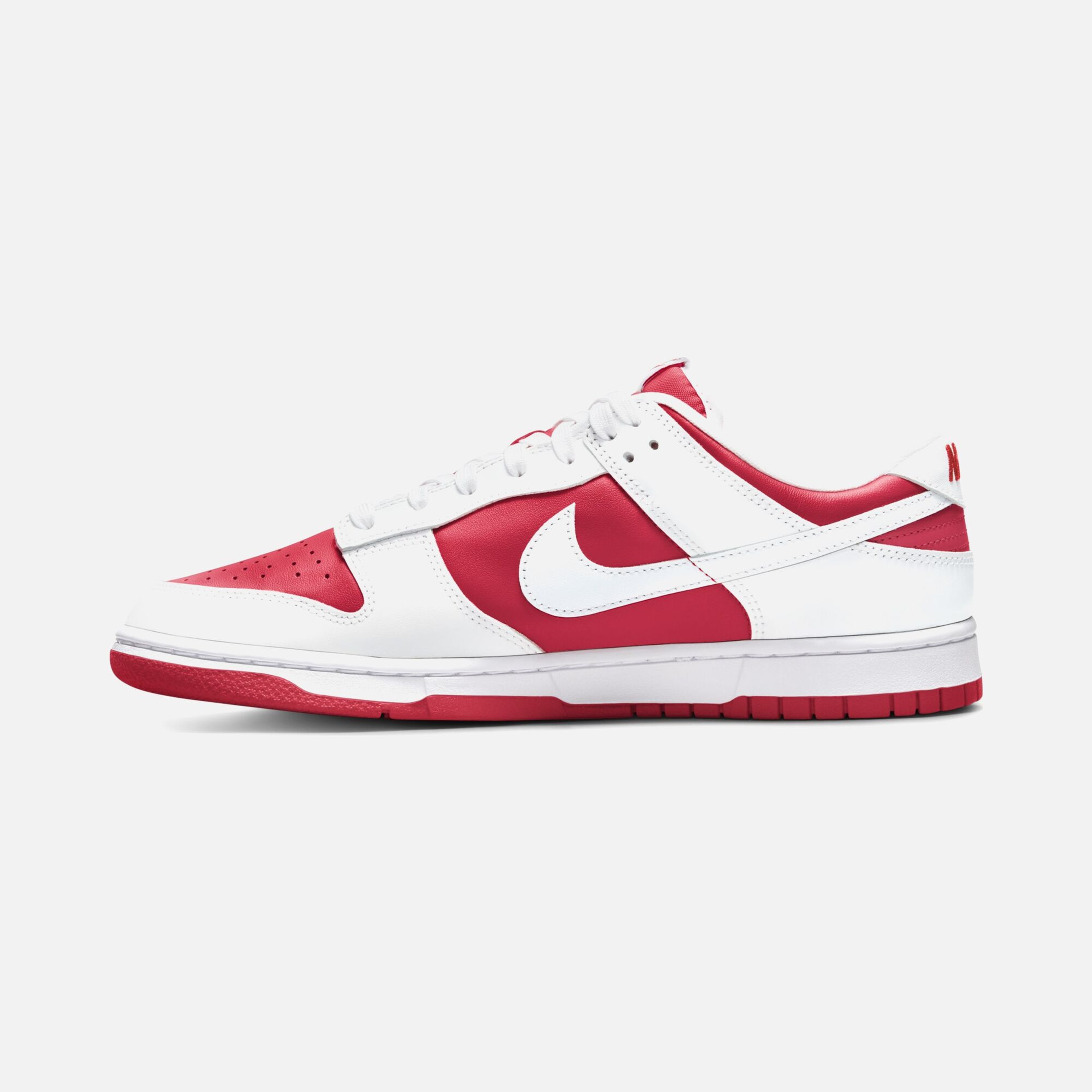 Nike Dunk Low Retro Erkek Spor Ayakkabı