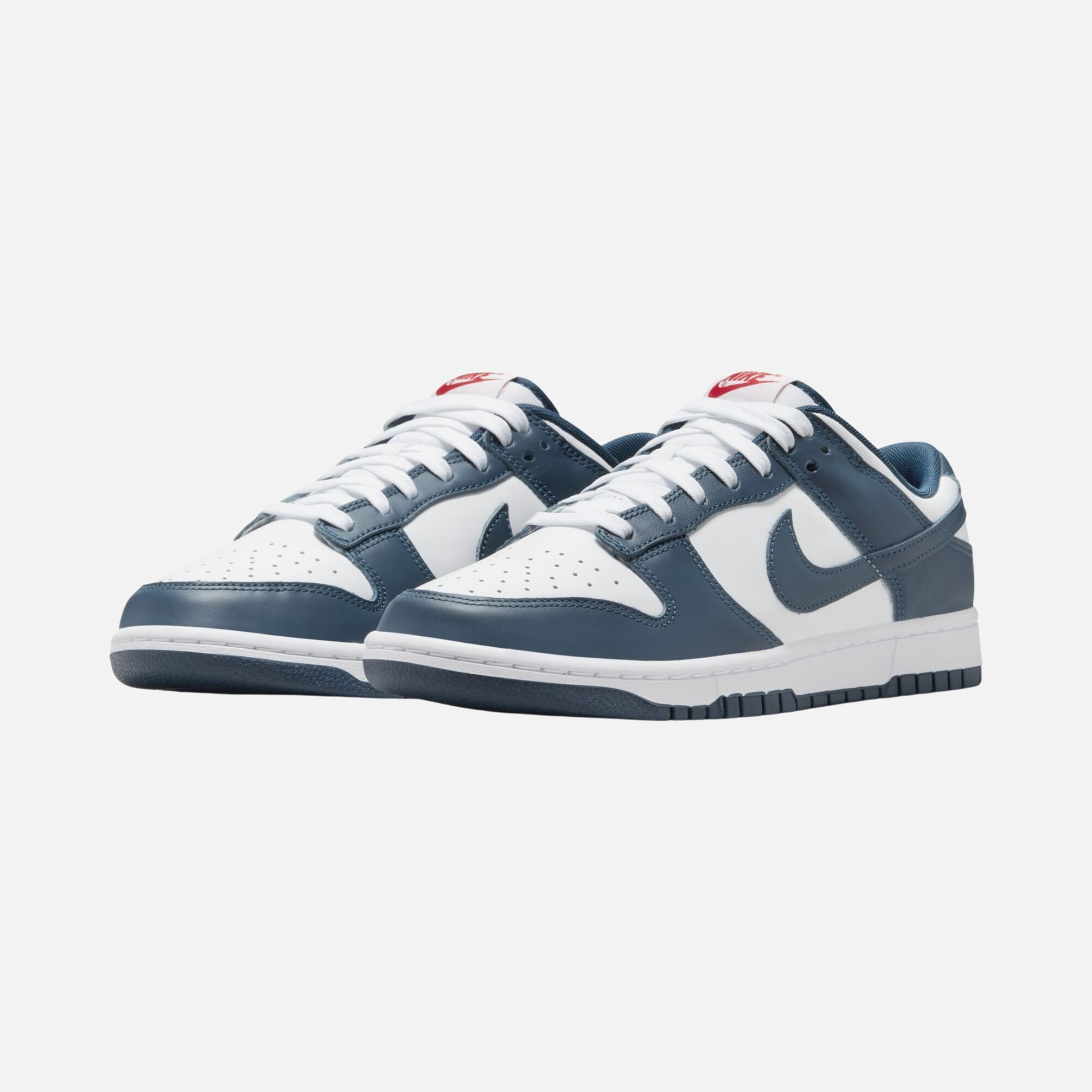 Nike Dunk Low Retro Erkek Spor Ayakkabı