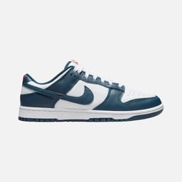 Nike Dunk Low Retro Erkek Spor Ayakkabı