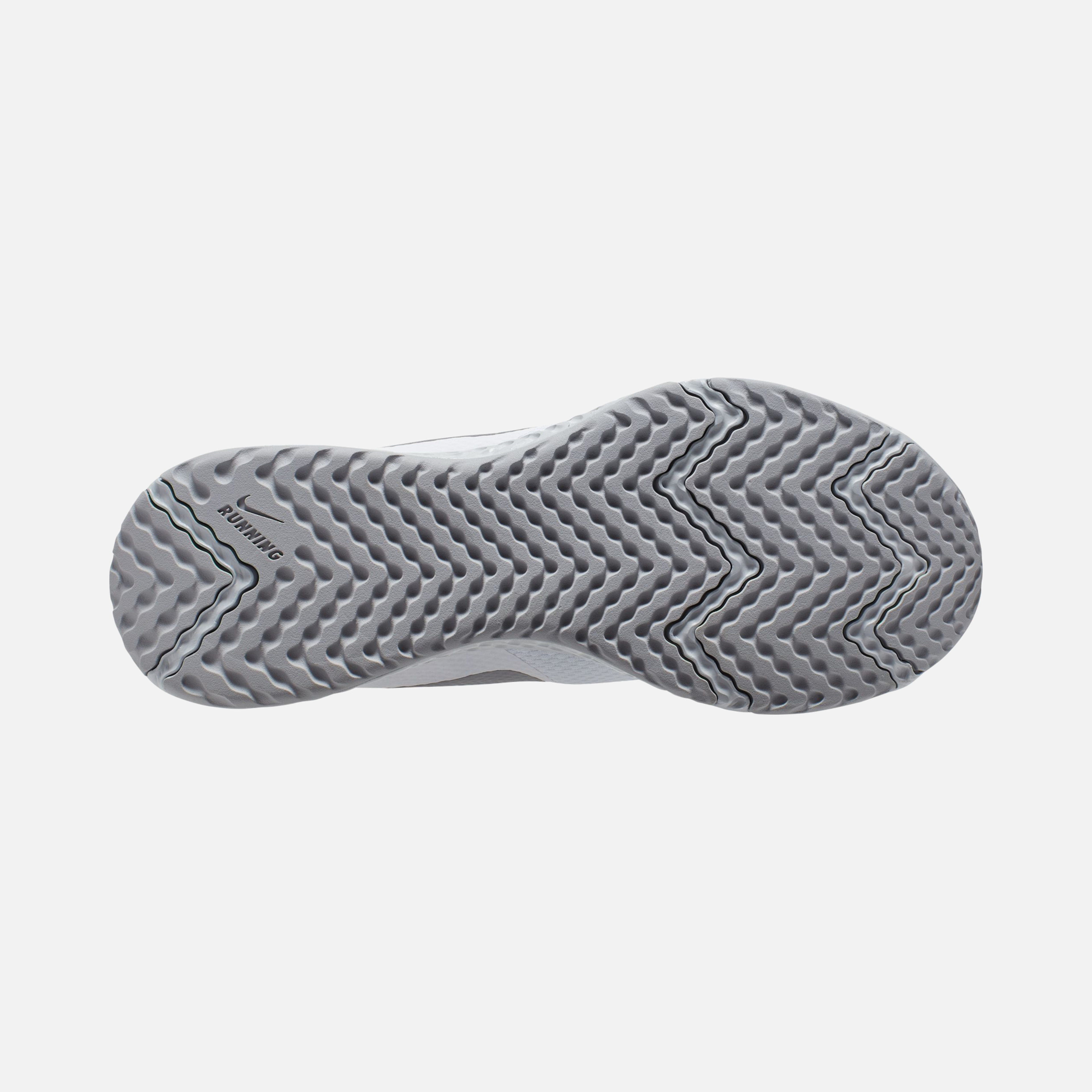Nike Revolution 5 Running Erkek Spor Ayakkabı