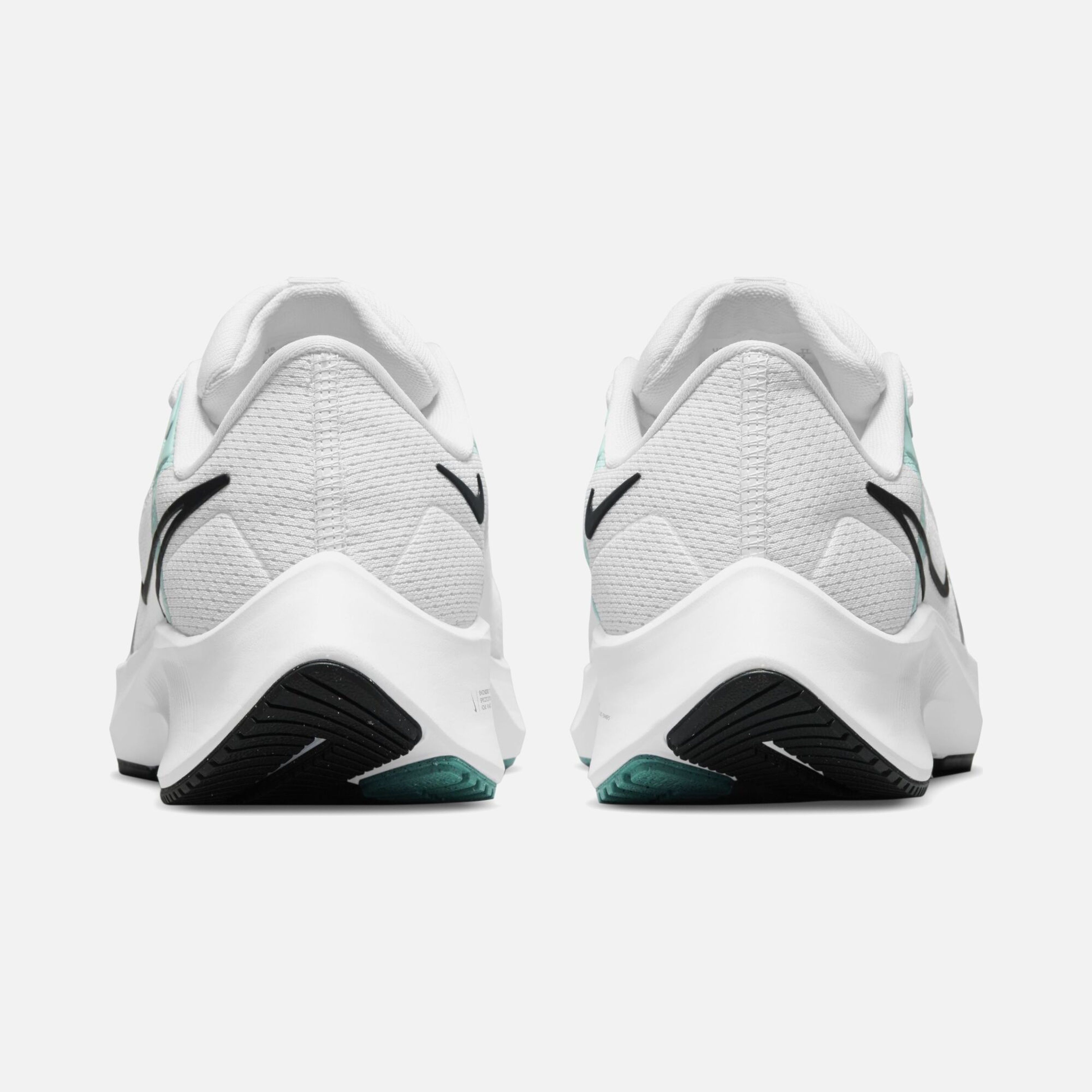 Nike Air Zoom Pegasus 38 Road Running CO Kadın Spor Ayakkabı