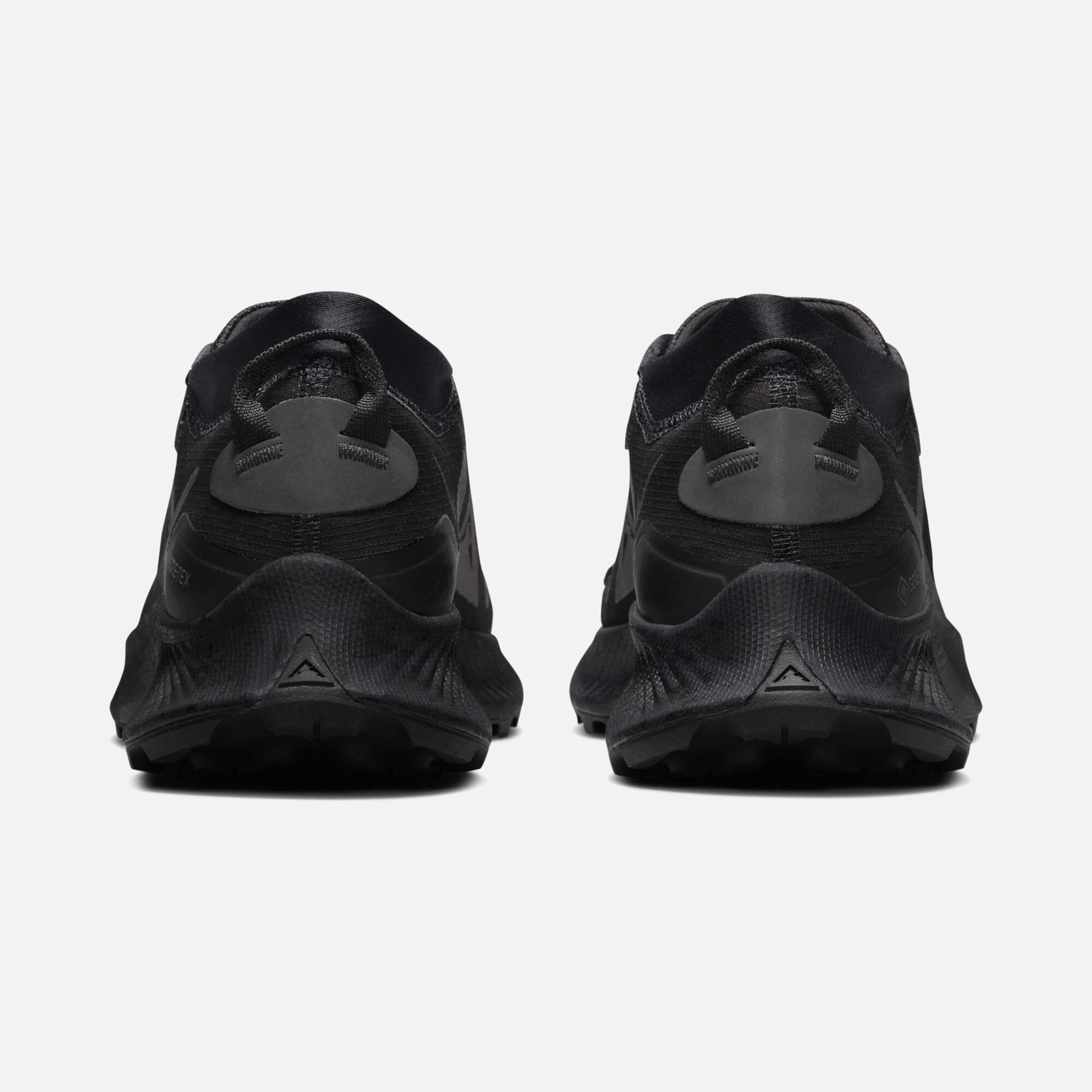 Nike Pegasus Trail 3 Gore-Tex Running Kadın Spor Ayakkabı