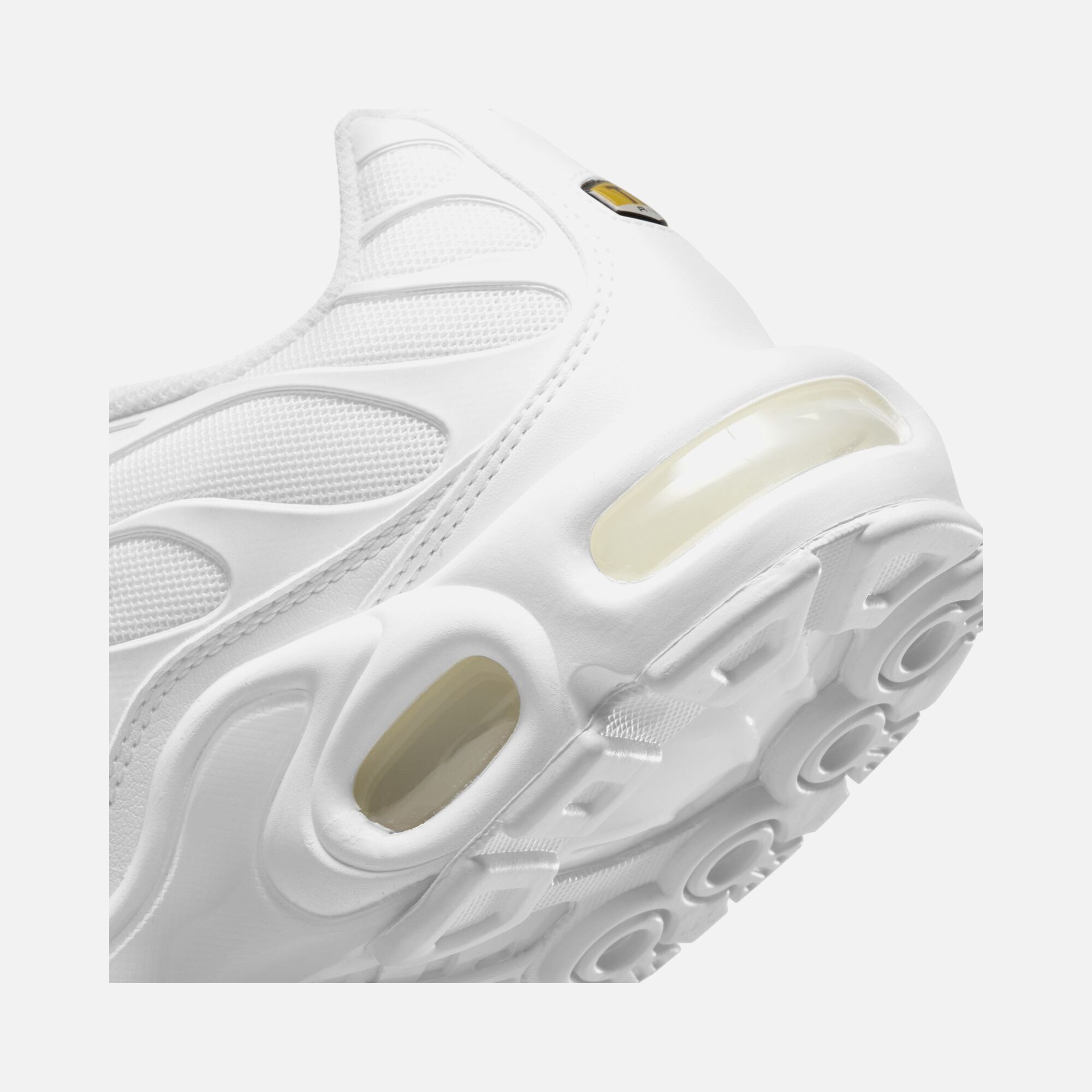 Nike Air Max Plus Kadın Spor Ayakkabı