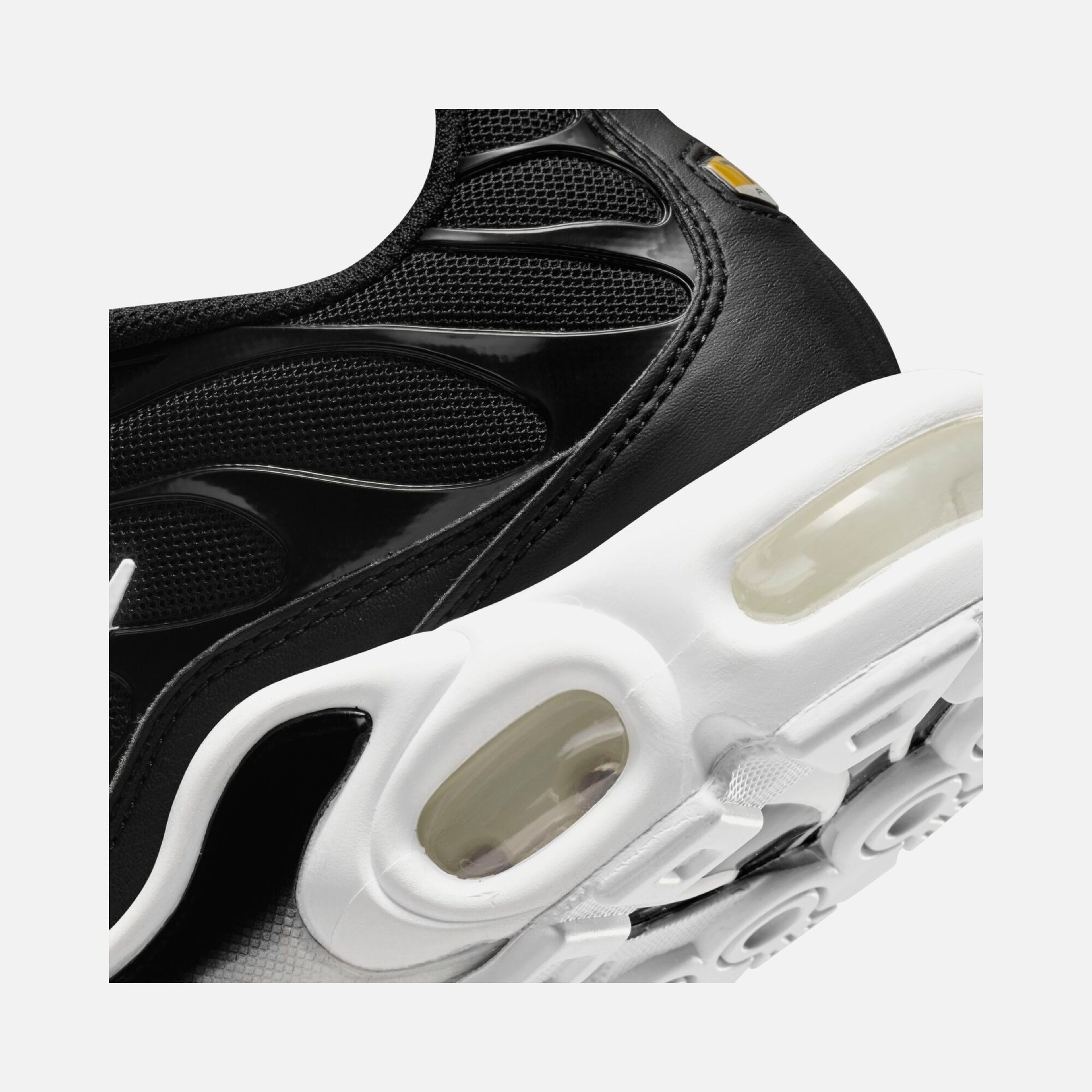 Nike Air Max Plus Kadın Spor Ayakkabı