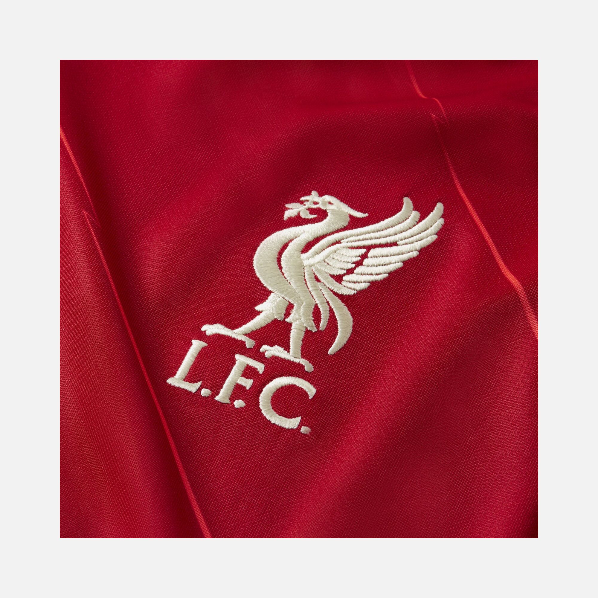 Nike Liverpool FC 2021-2022 Stadyum İç Saha Erkek Forma | Barçın