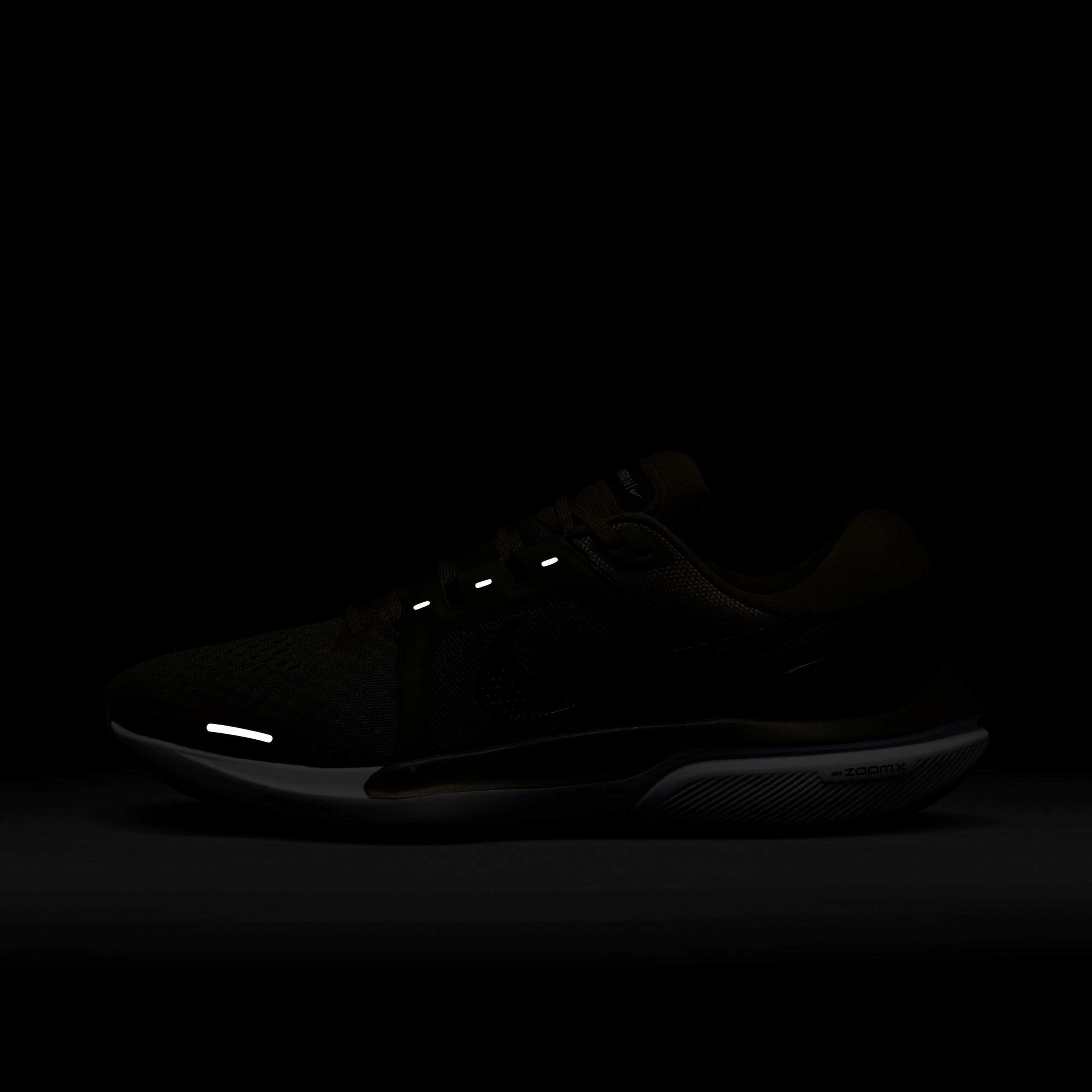 Nike Air Zoom Vomero 16 Road Running Erkek Spor Ayakkabı