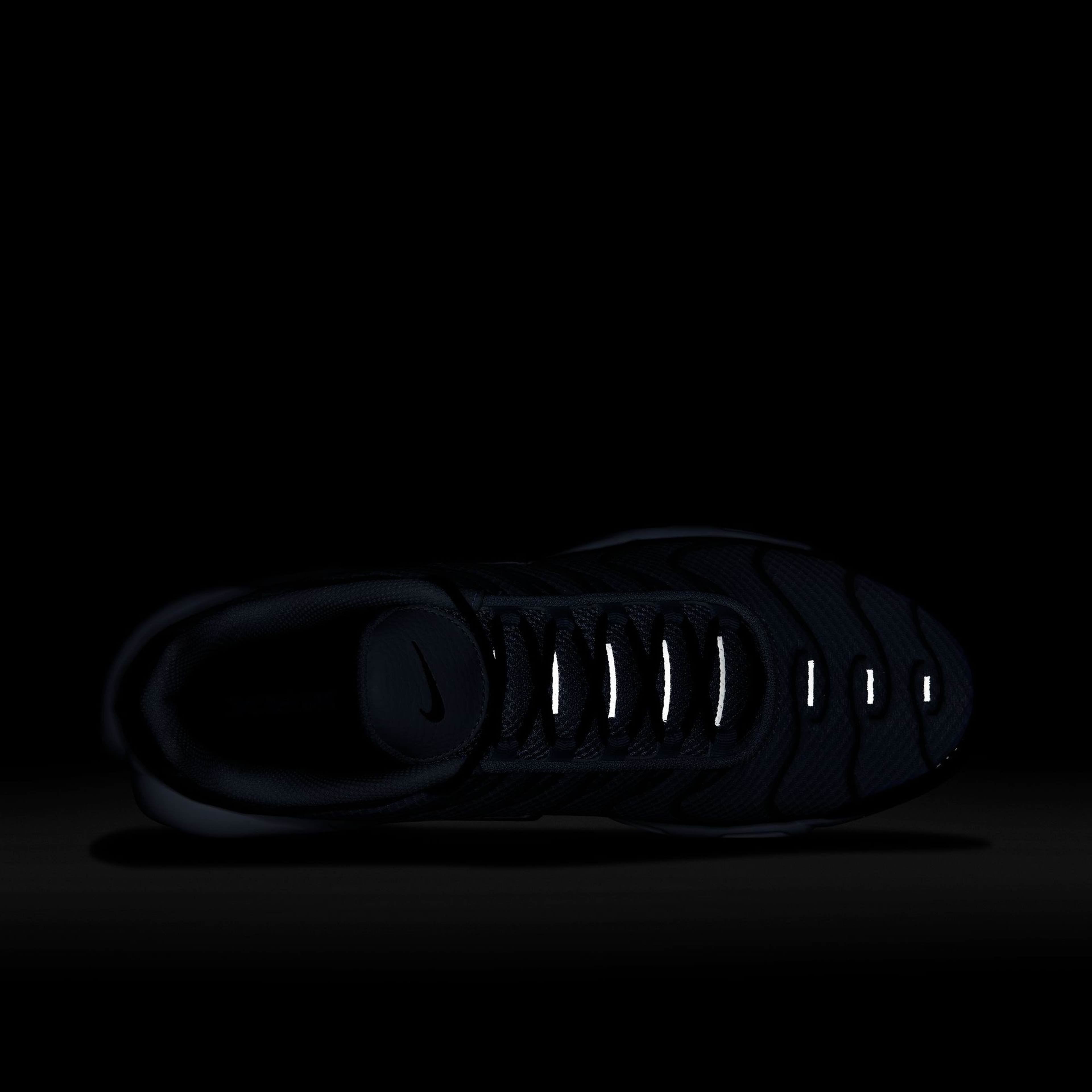 Nike Air Max Plus SS25 Erkek Spor Ayakkabı