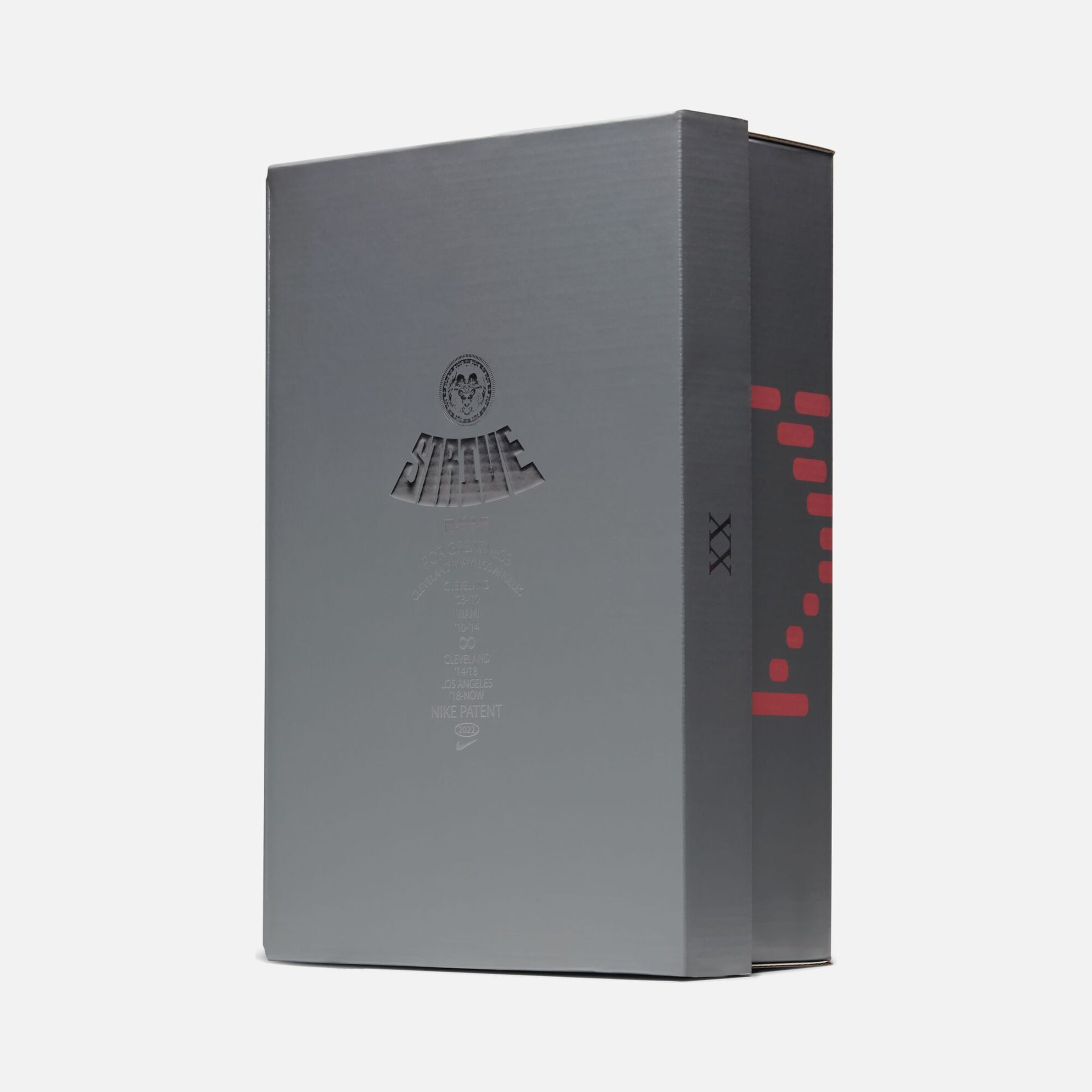 Nike LeBron James XX (GS) Basketbol Ayakkabısı