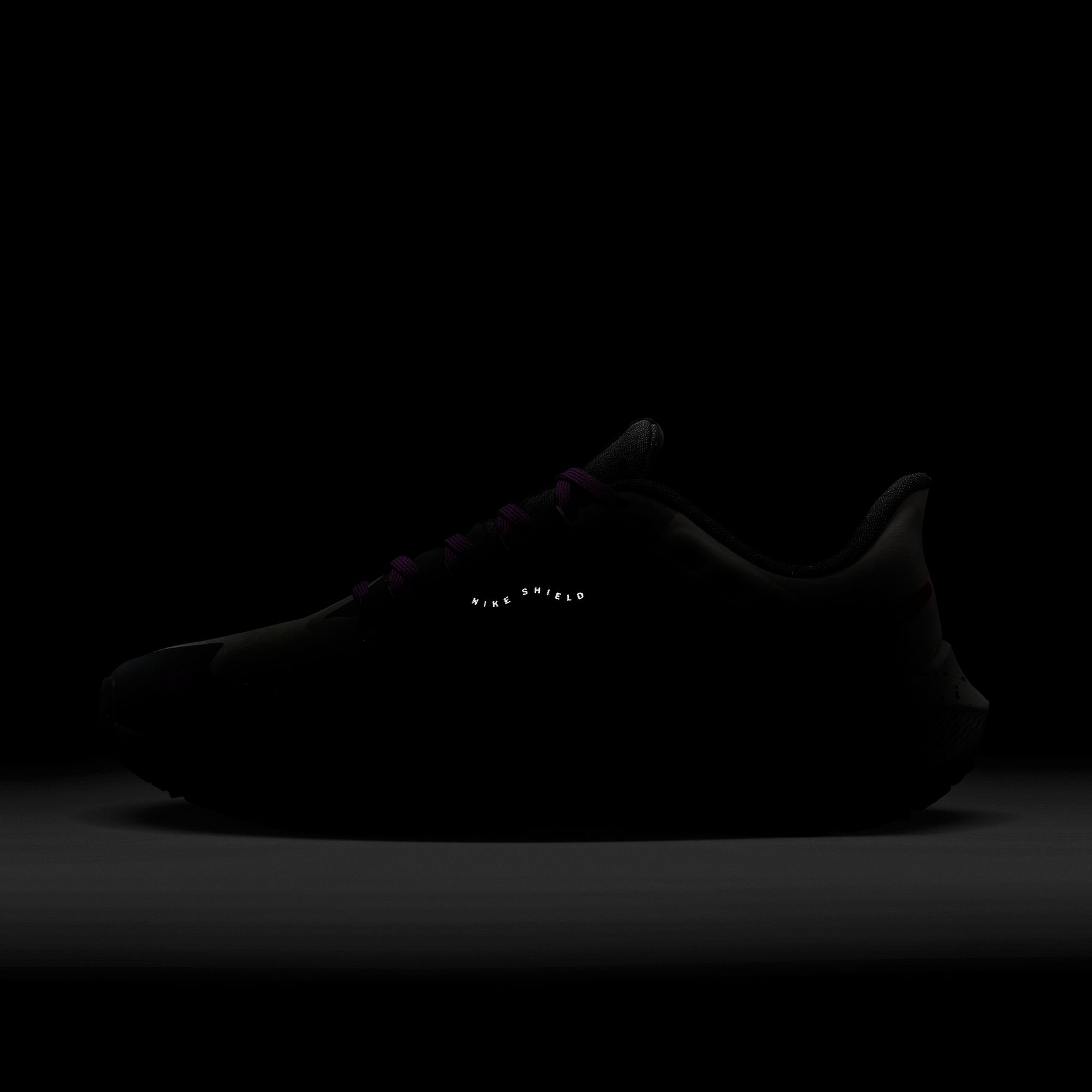 Nike Air Zoom Pegasus 39 Shield Weatherised Road Running Kadın Spor Ayakkabı