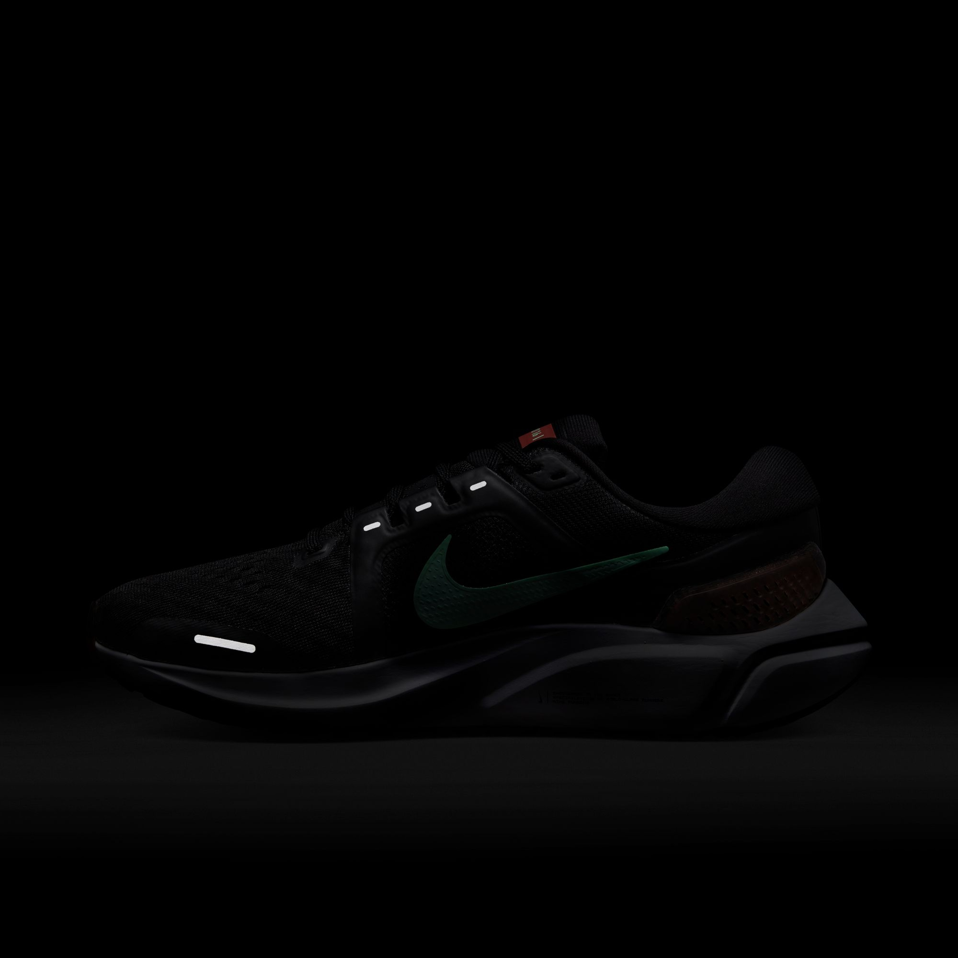 Nike Air Zoom Vomero 16 Road Running Kadın Spor Ayakkabı