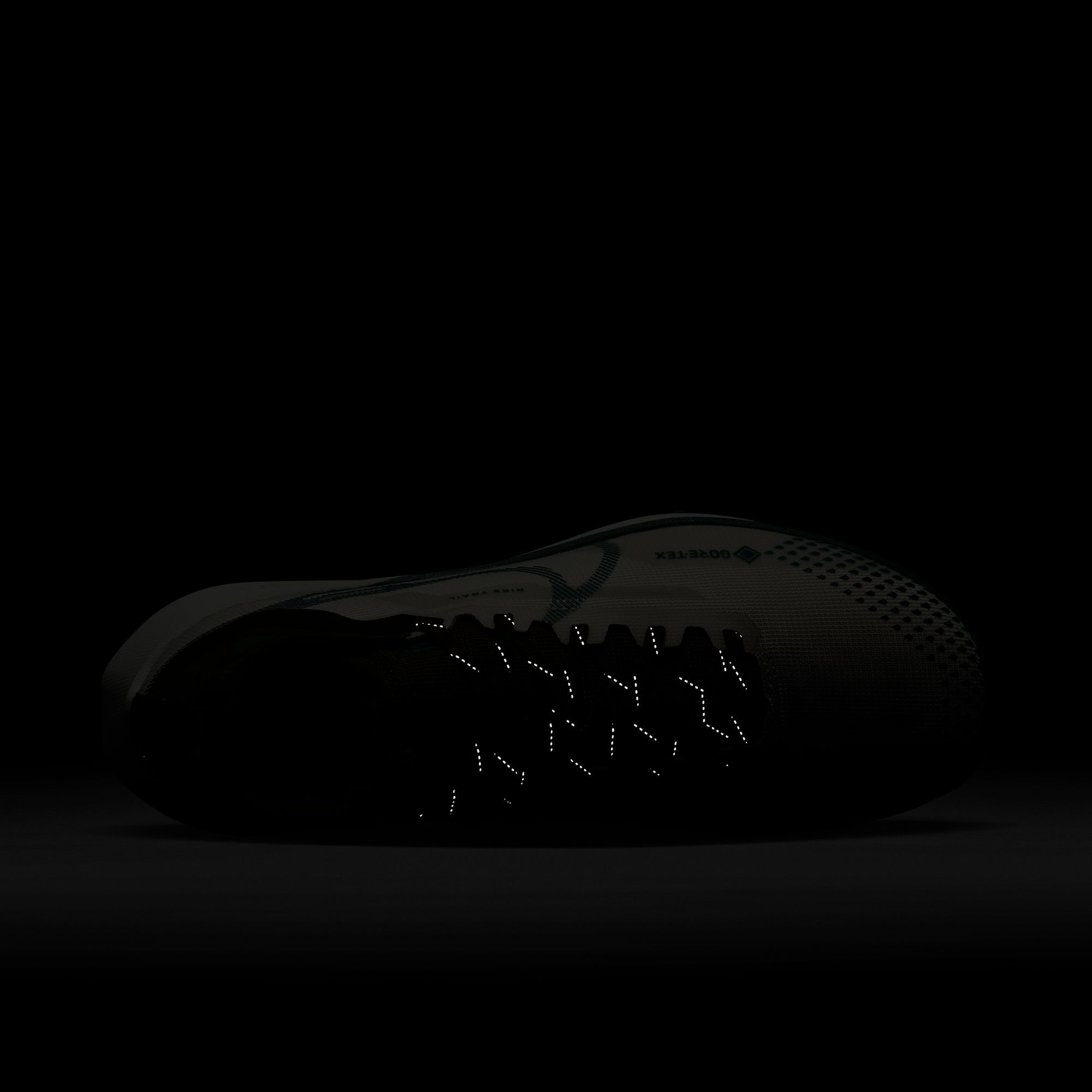 Nike React Pegasus Trail 4 Gore-Tex Road Running Erkek Spor Ayakkabı