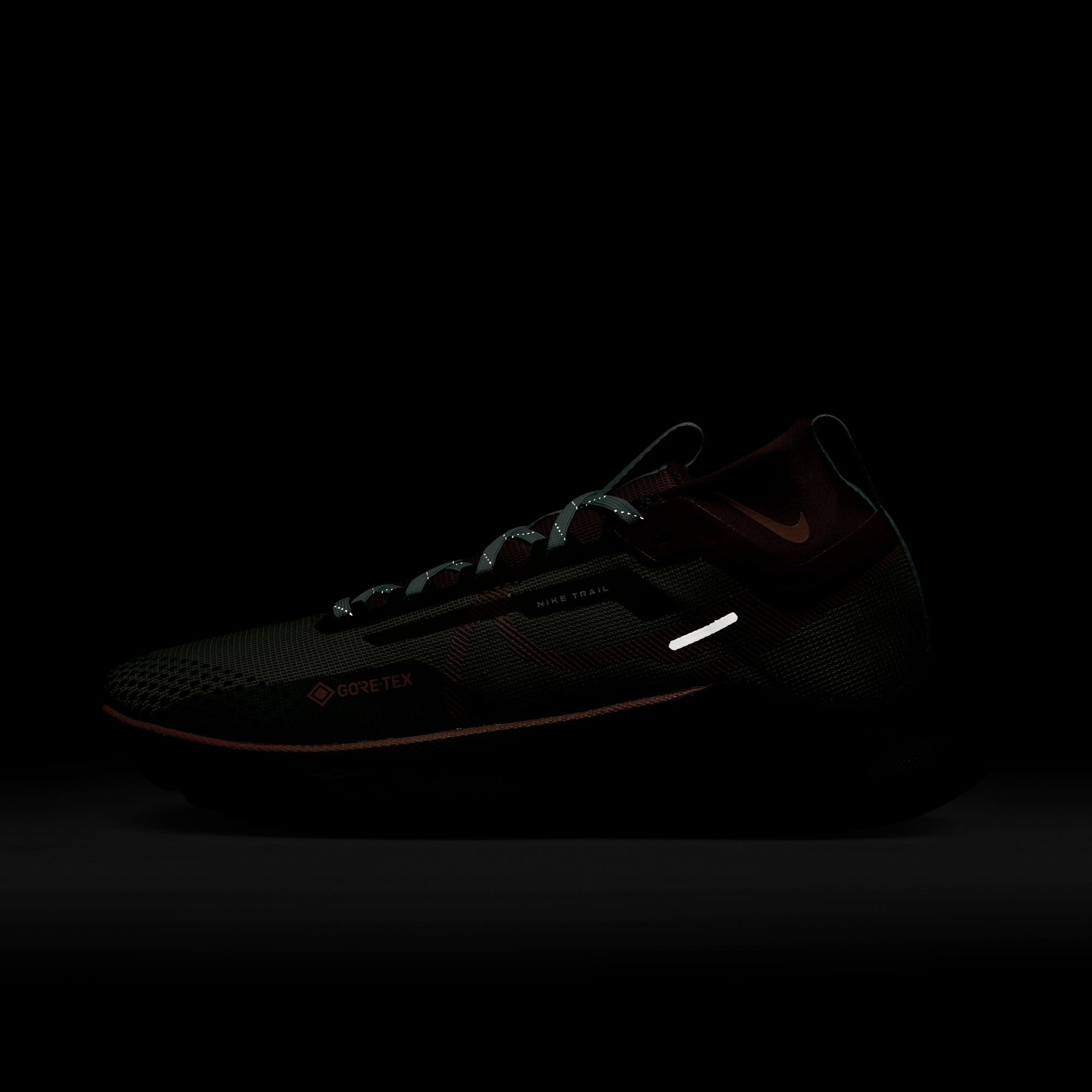 Nike React Pegasus Trail 4 Gore-Tex Running Kadın Spor Ayakkabı