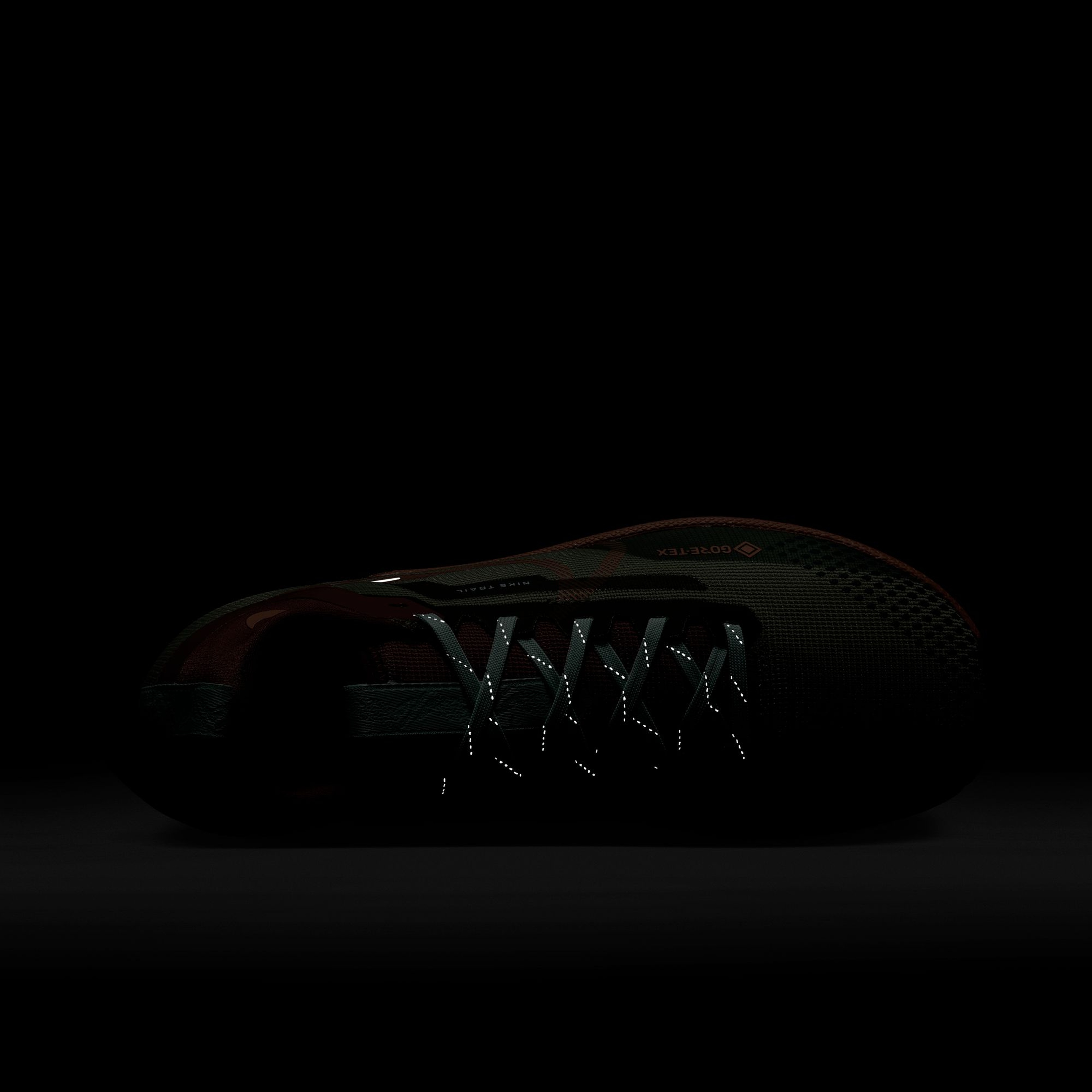 Nike React Pegasus Trail 4 Gore-Tex Running Kadın Spor Ayakkabı