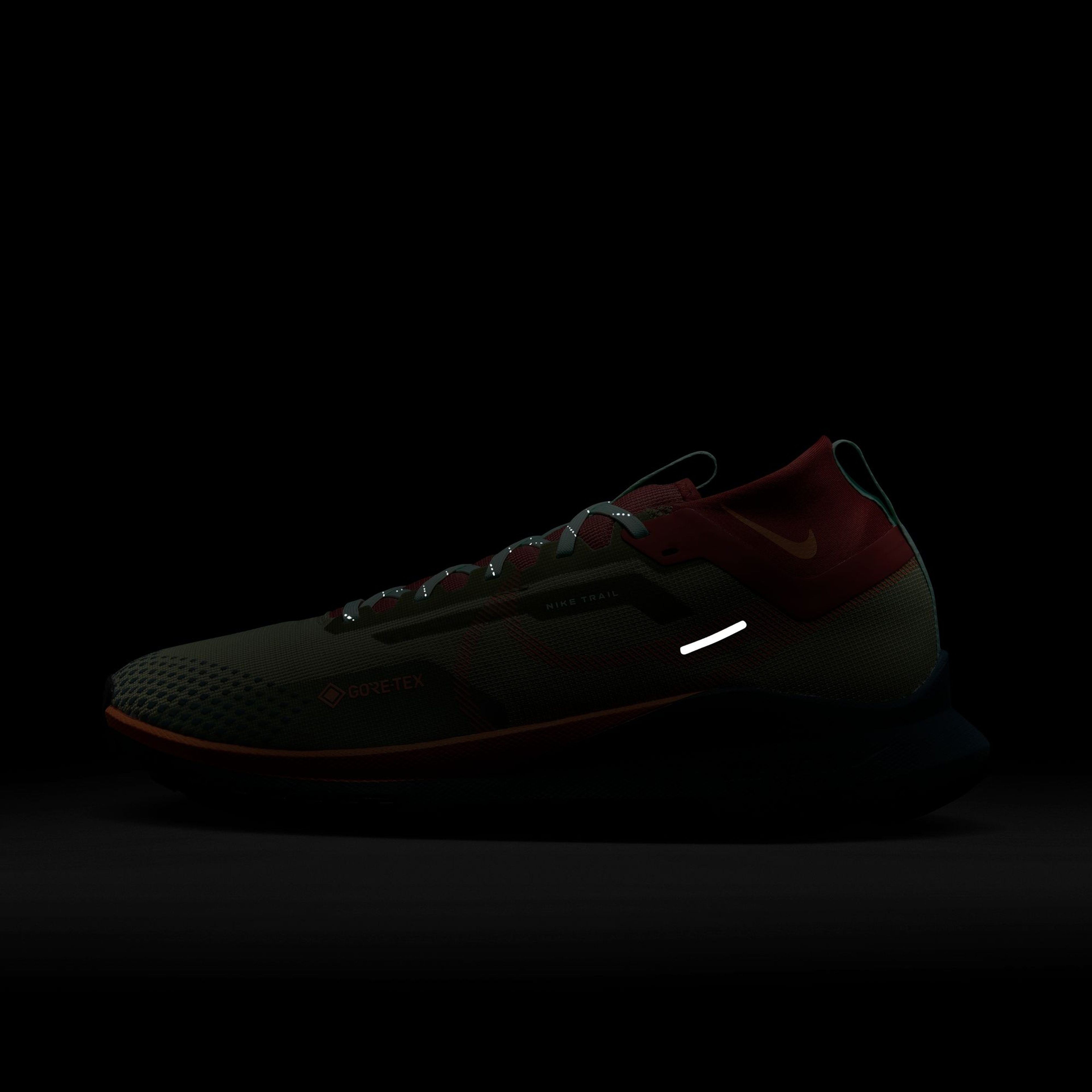 Nike React Pegasus Trail 4 Gore-Tex Running Erkek Spor Ayakkabı