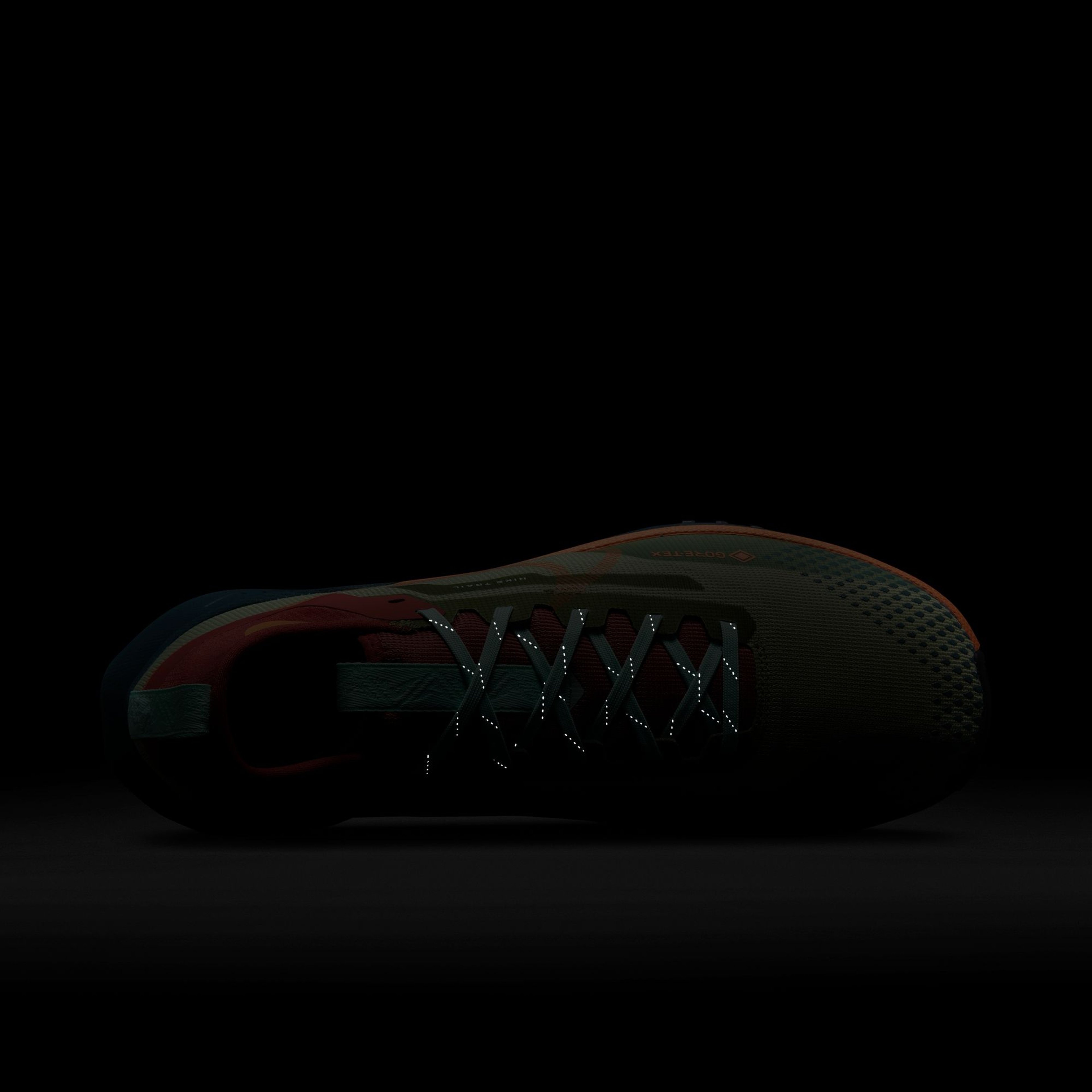 Nike React Pegasus Trail 4 Gore-Tex Running Erkek Spor Ayakkabı