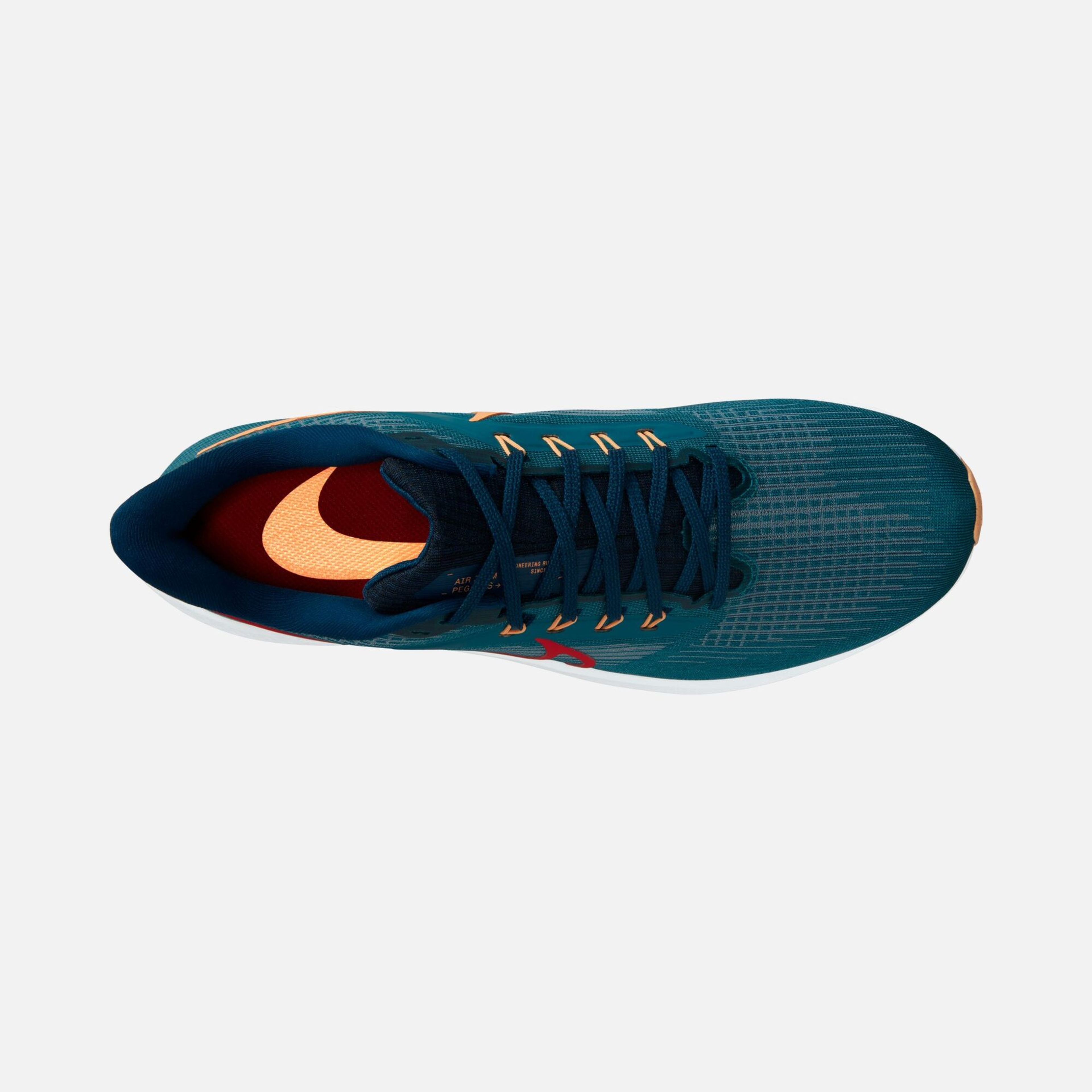 Nike Air Zoom Pegasus 39 Road Running Erkek Spor Ayakkabı