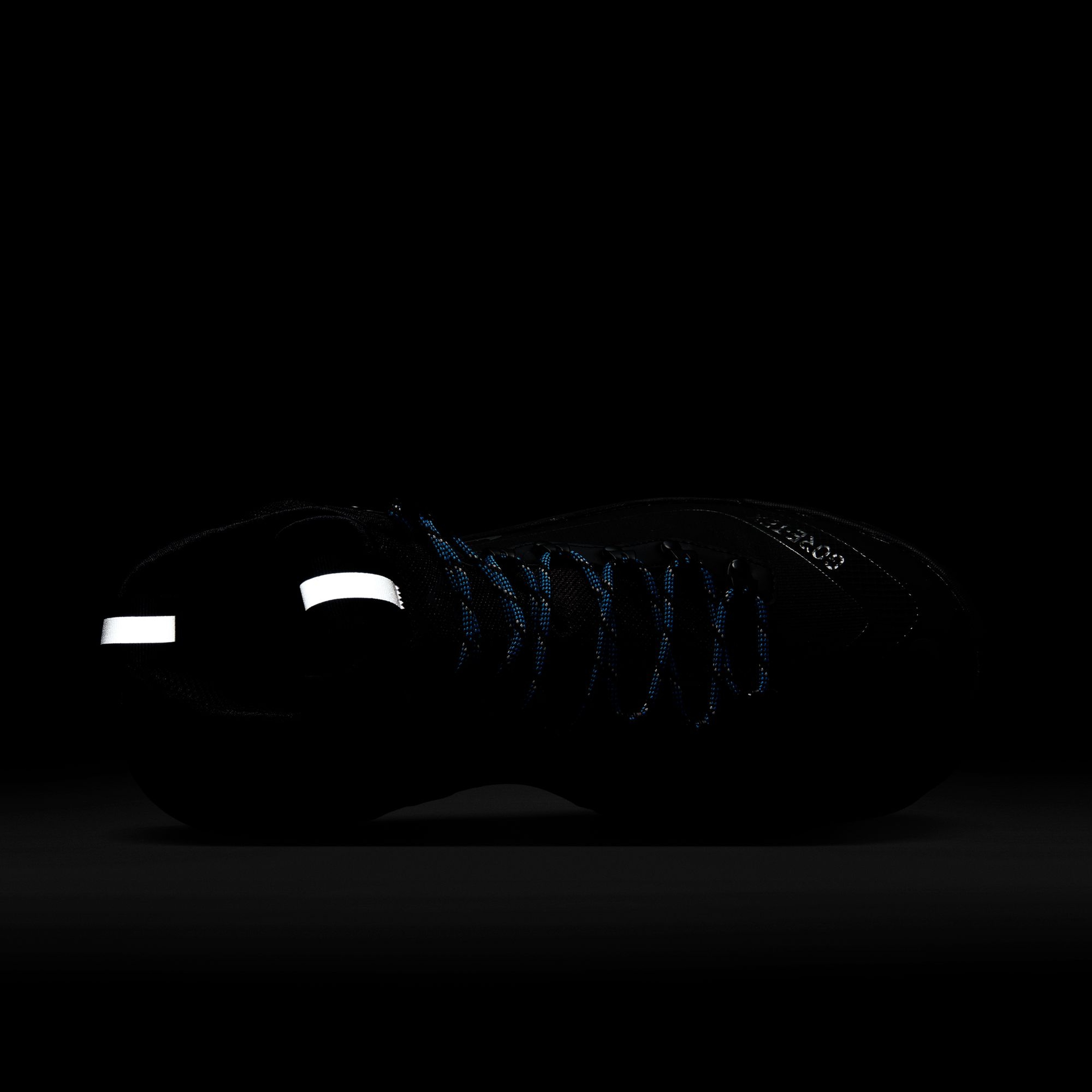 Nike ACG Zoom Gaiadome Gore-Tex Erkek Bot