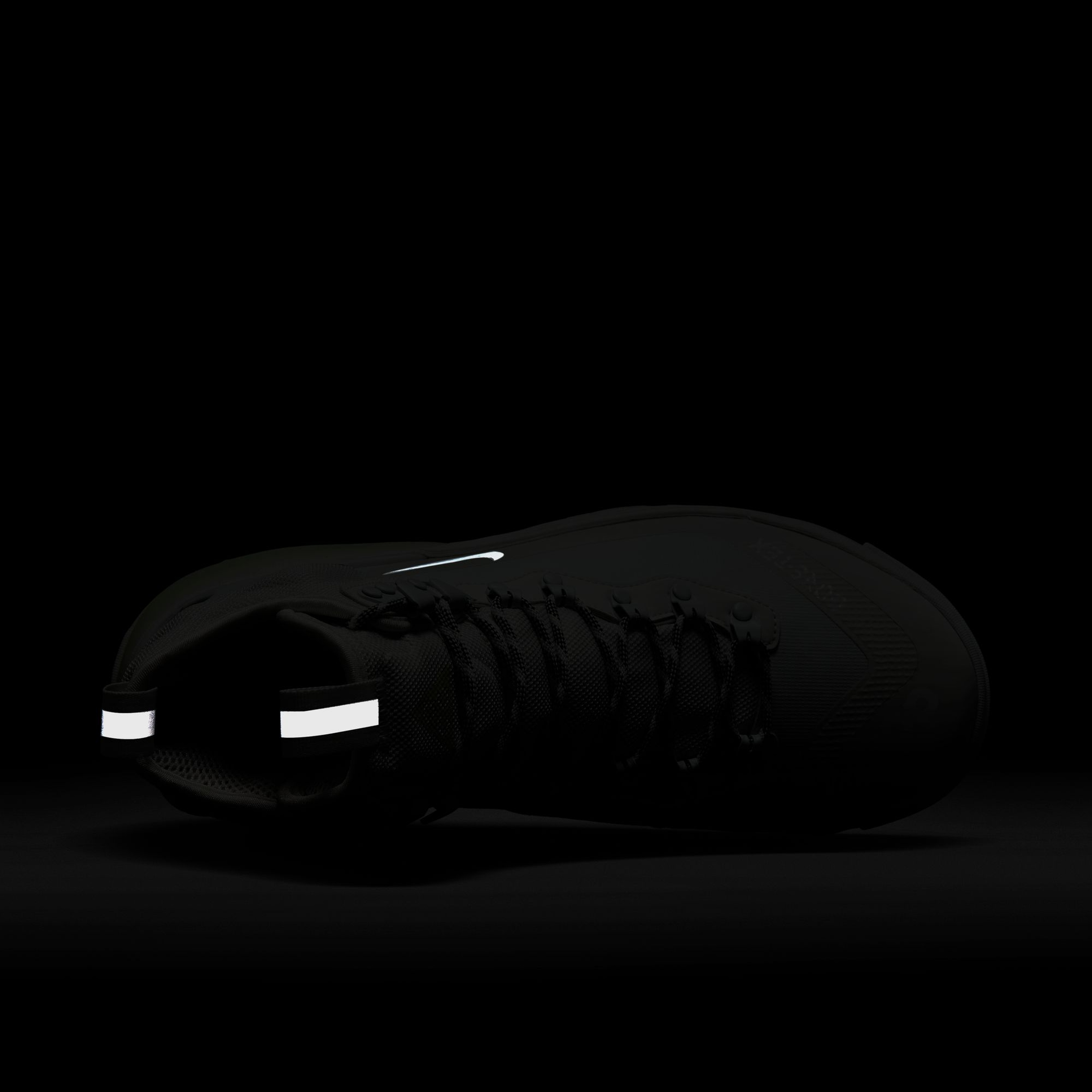 Nike ACG Zoom Gaiadome Gore-Tex Erkek Bot