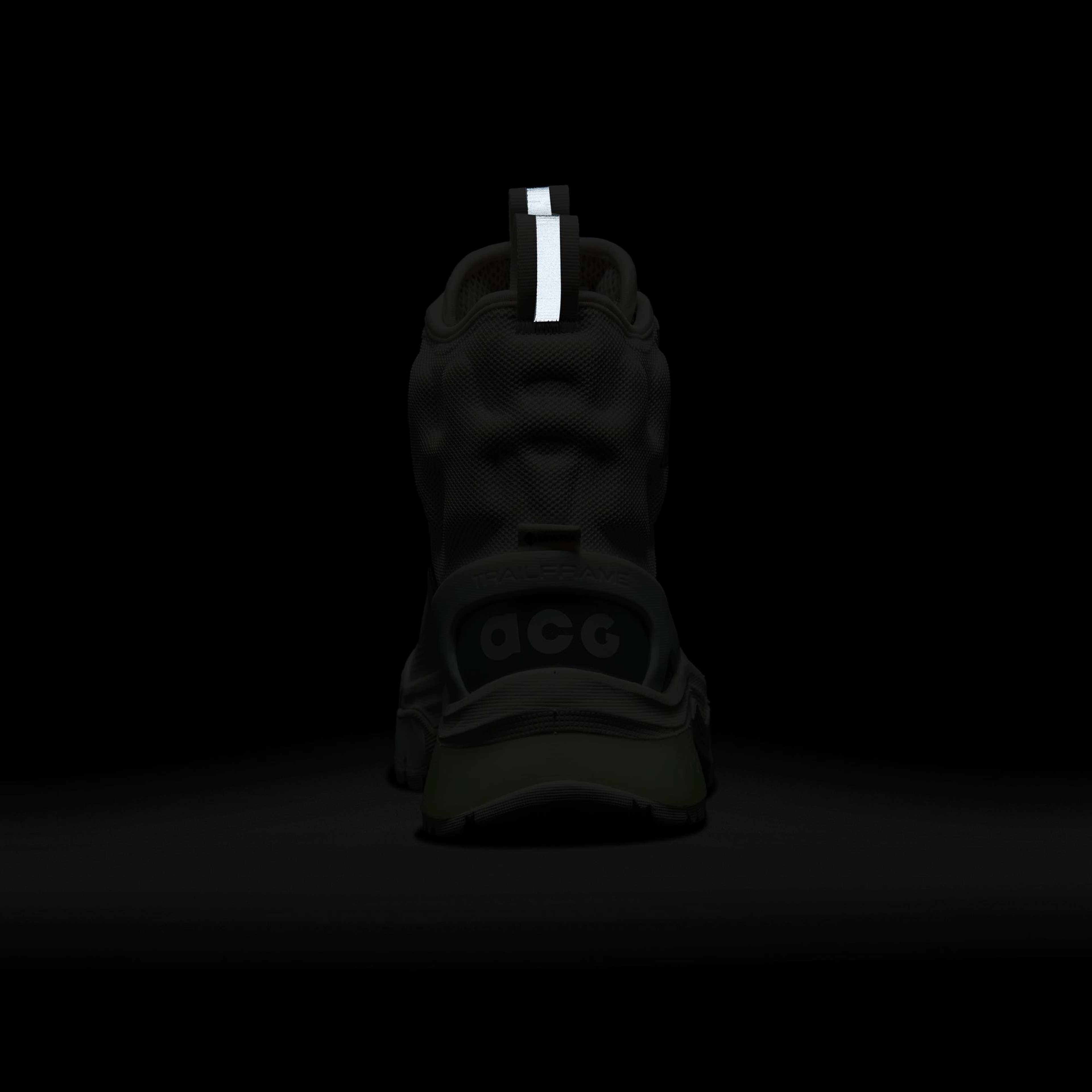 Nike ACG Zoom Gaiadome Gore-Tex Erkek Bot