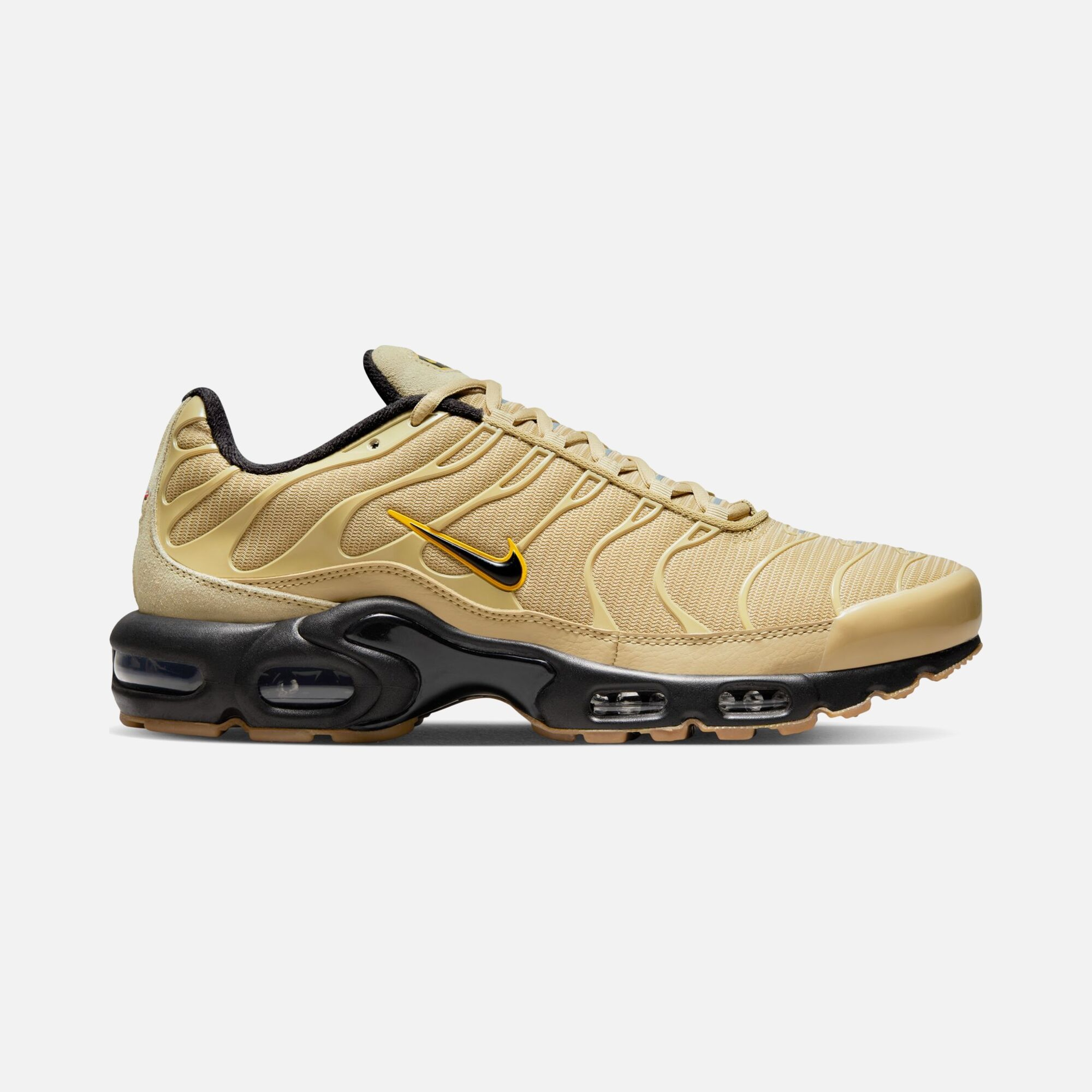 Nike Air Max Plus TN Erkek Spor Ayakkabı