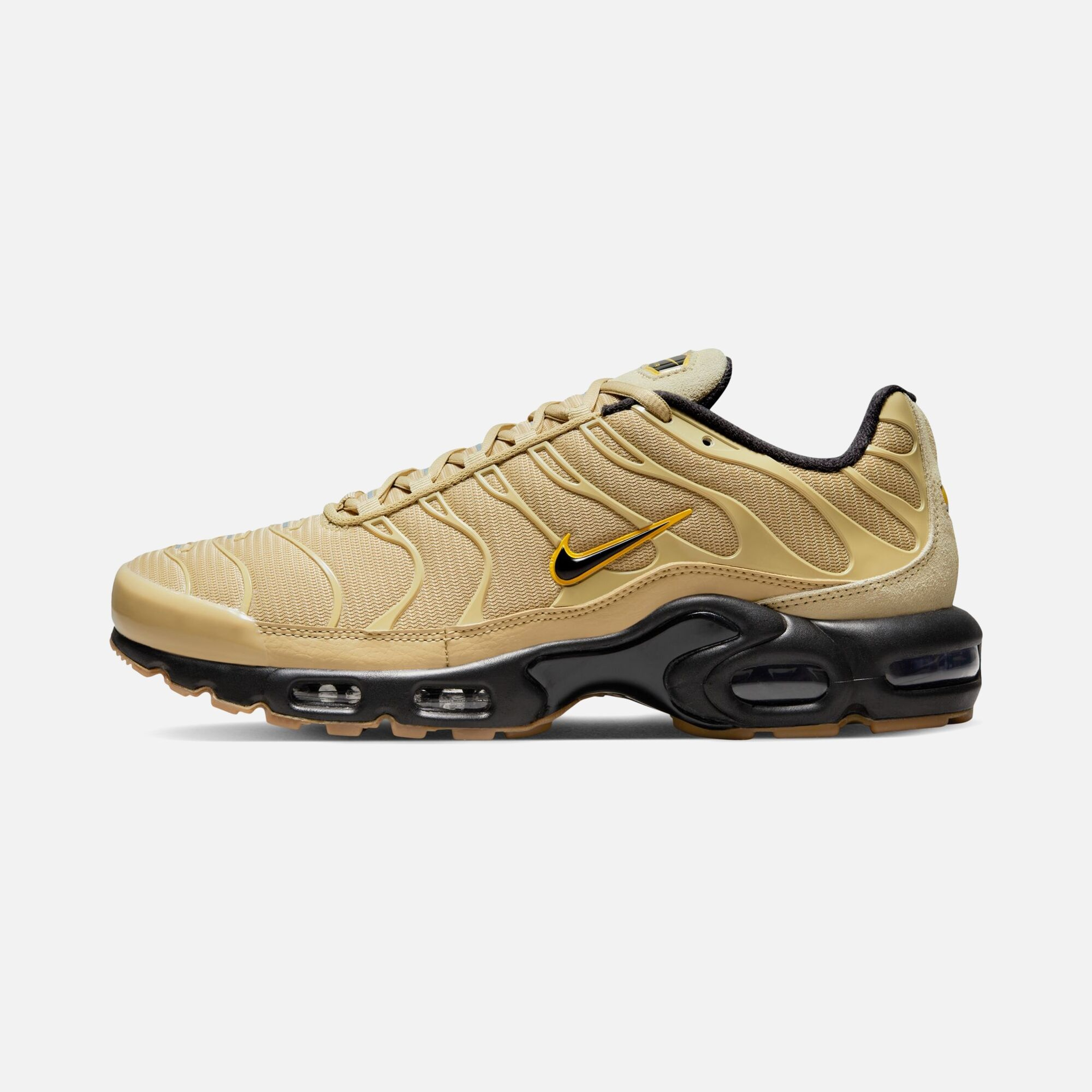Nike Air Max Plus TN Erkek Spor Ayakkabı