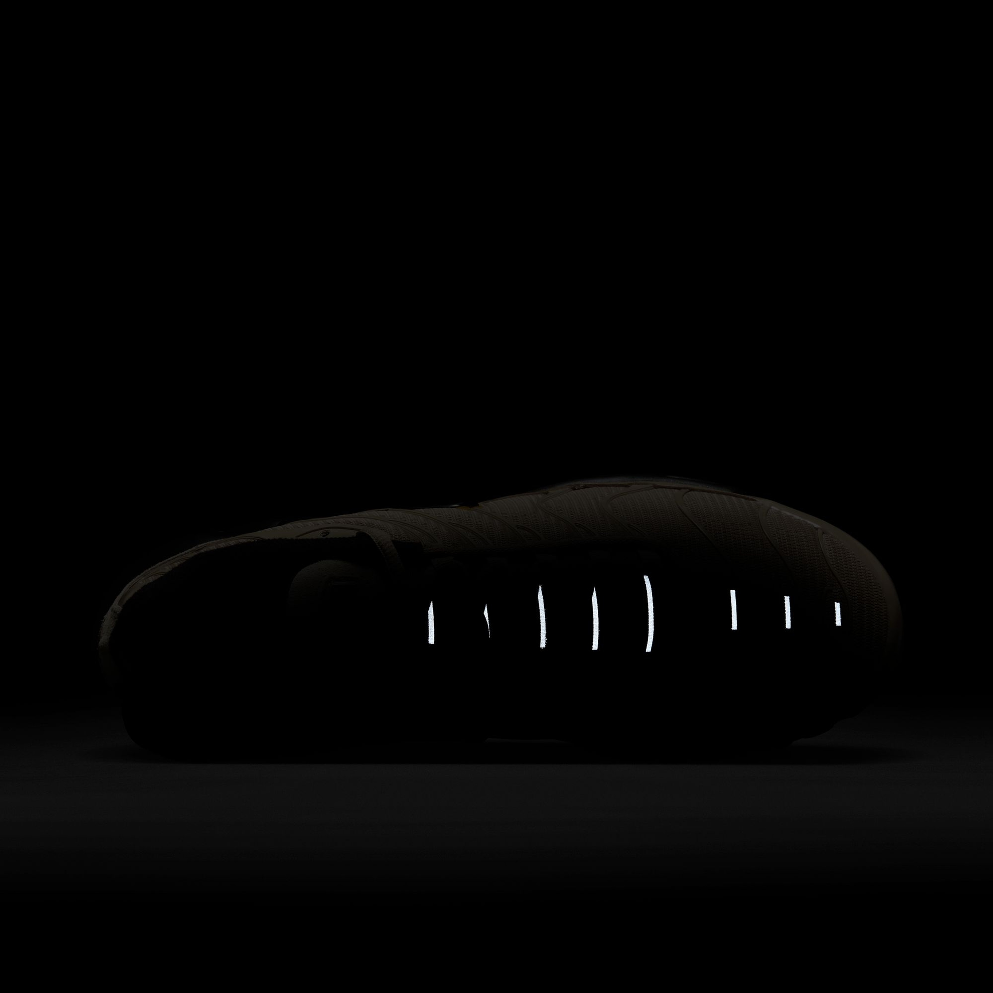 Nike Air Max Plus TN Erkek Spor Ayakkabı