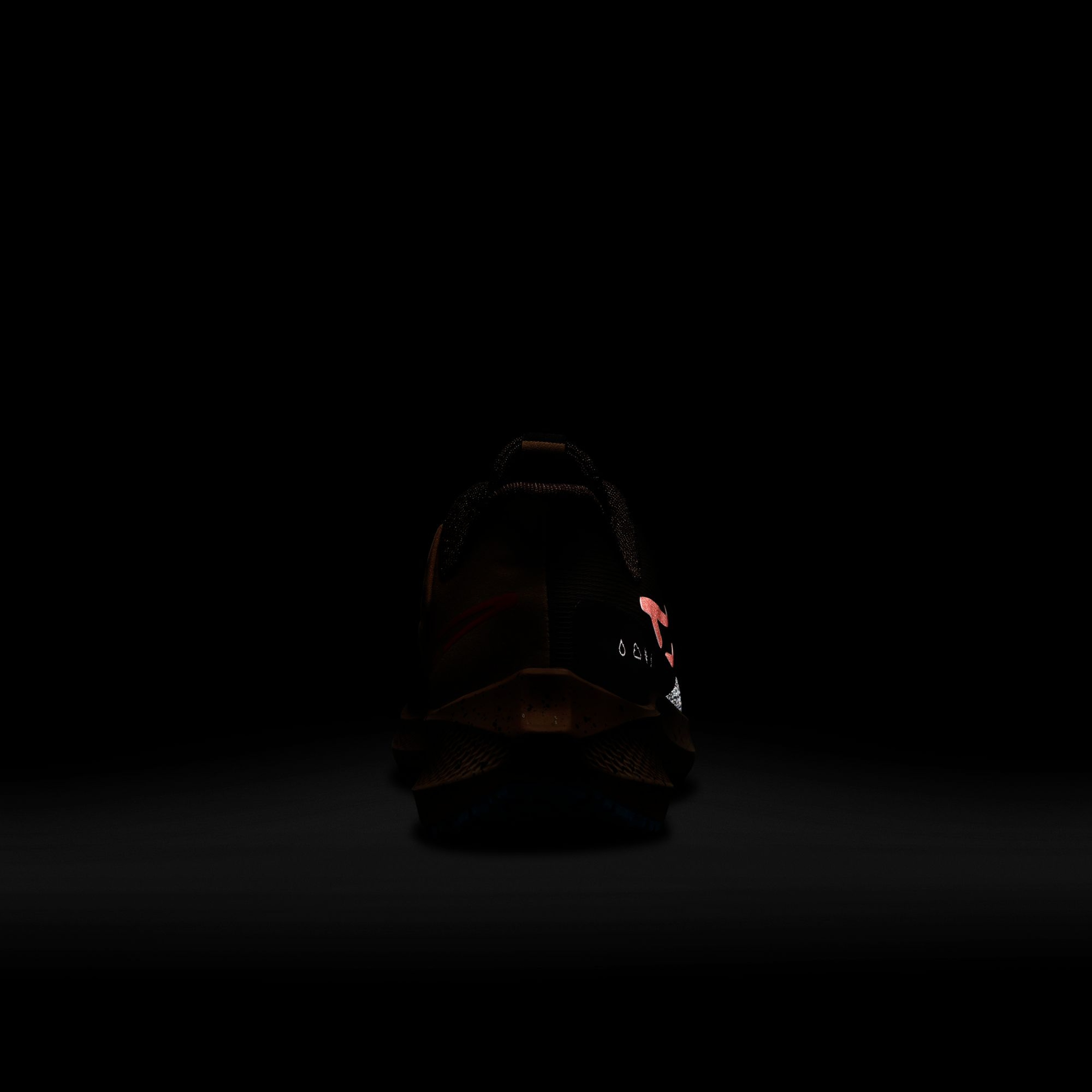 Nike Air Zoom Pegasus 39 Shield Weatherised Road Running Erkek Spor Ayakkabı