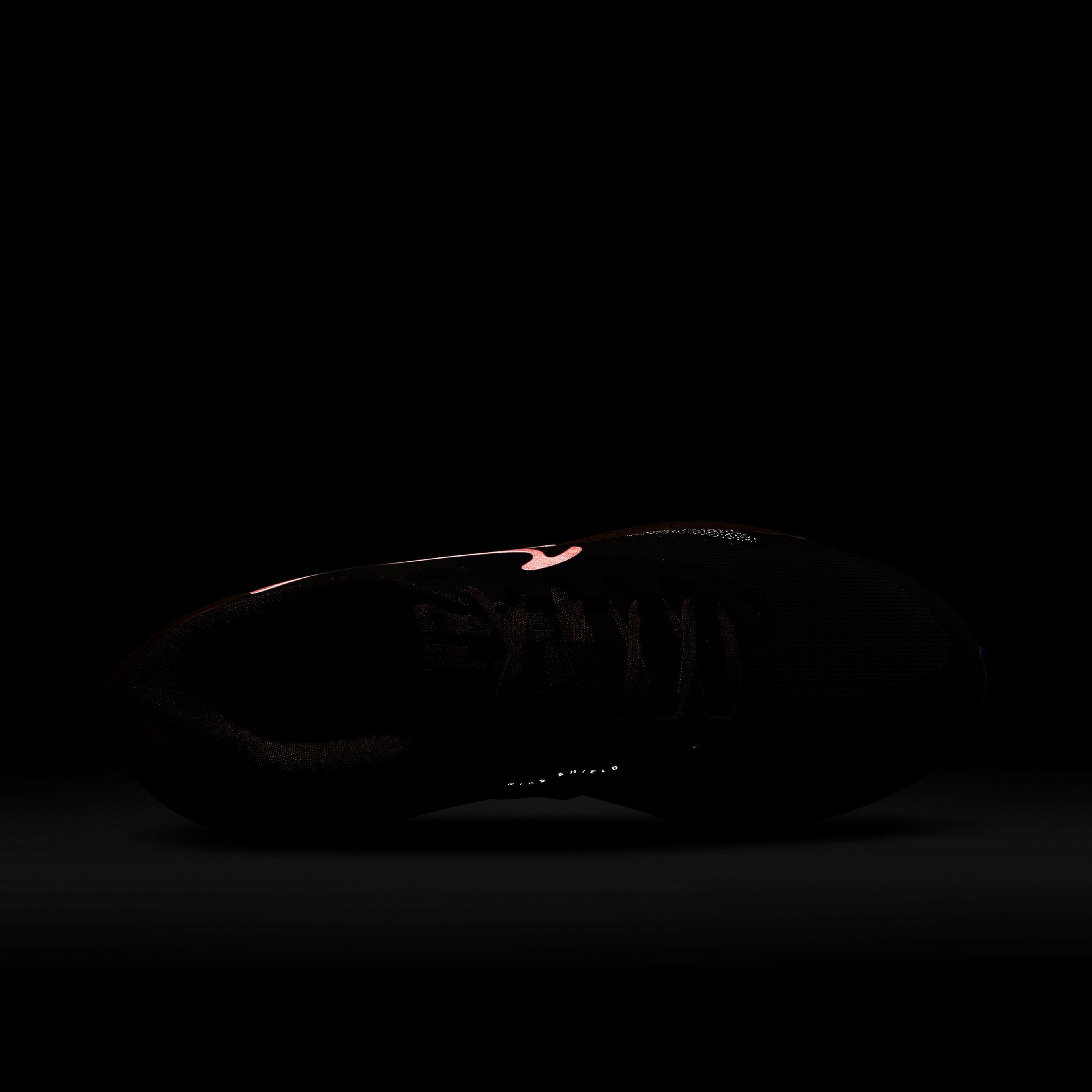 Nike Air Zoom Pegasus 39 Shield Weatherised Road Running Erkek Spor Ayakkabı