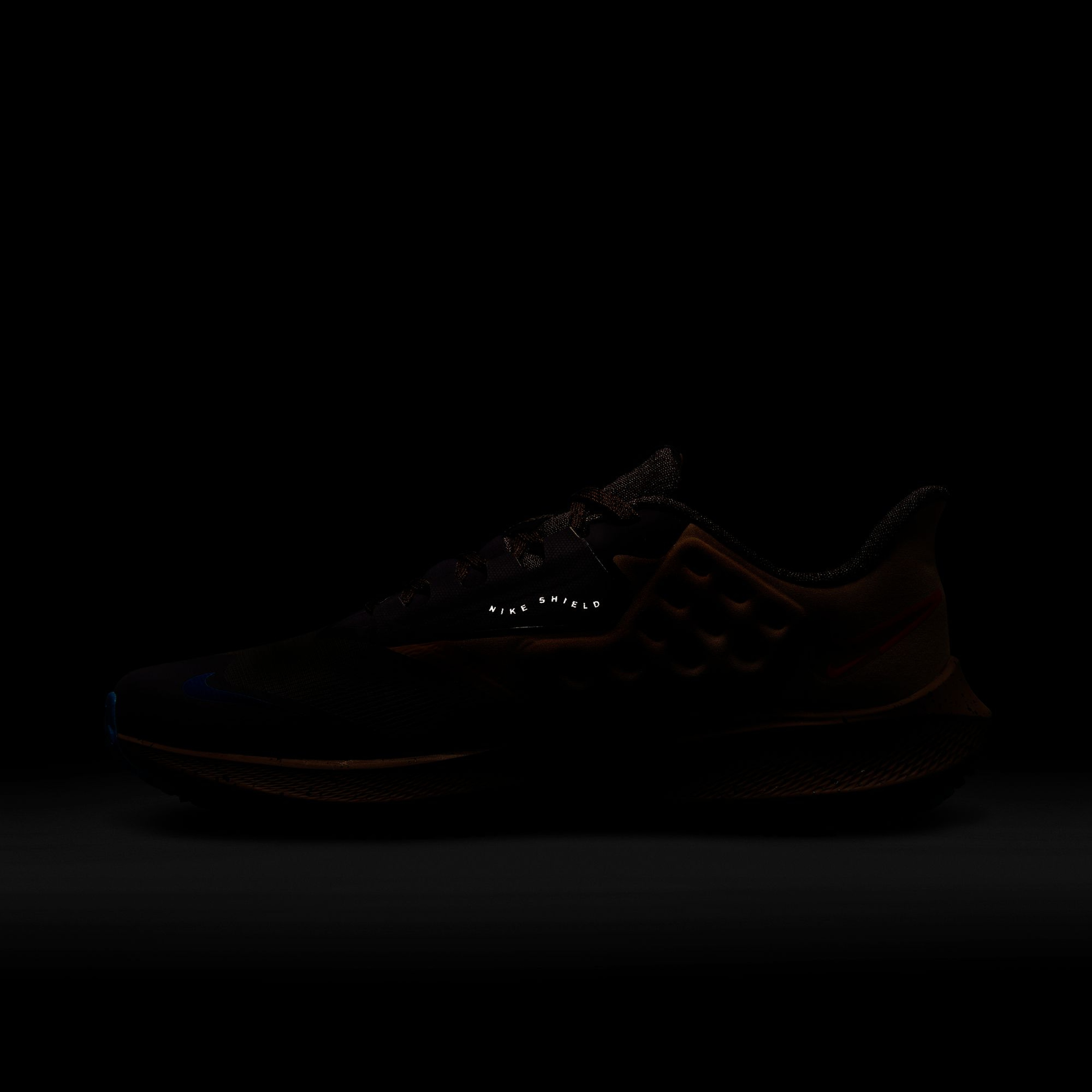 Nike Air Zoom Pegasus 39 Shield Weatherised Road Running Erkek Spor Ayakkabı