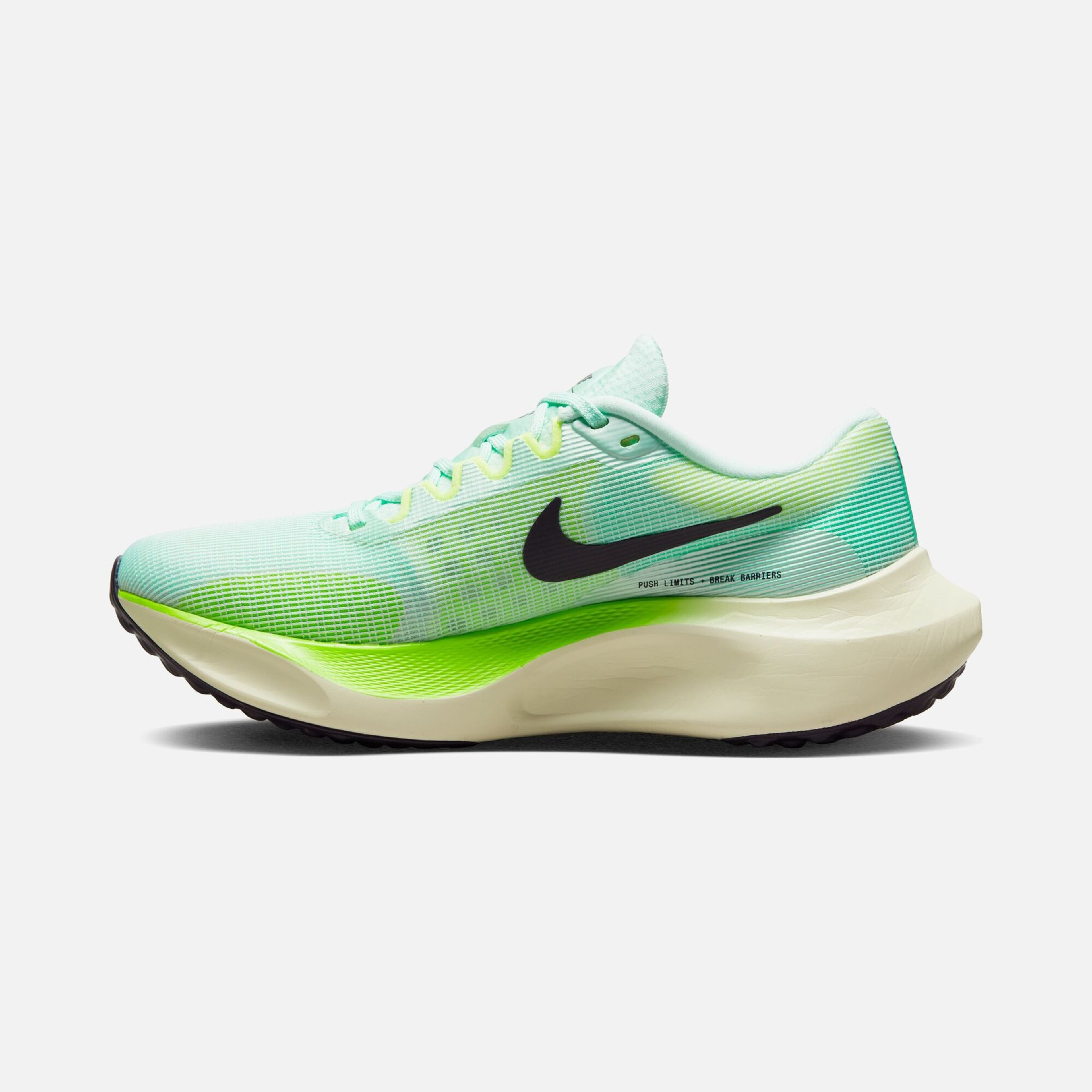 Nike Zoom Fly 5 Road Running Kadın Spor Ayakkabı