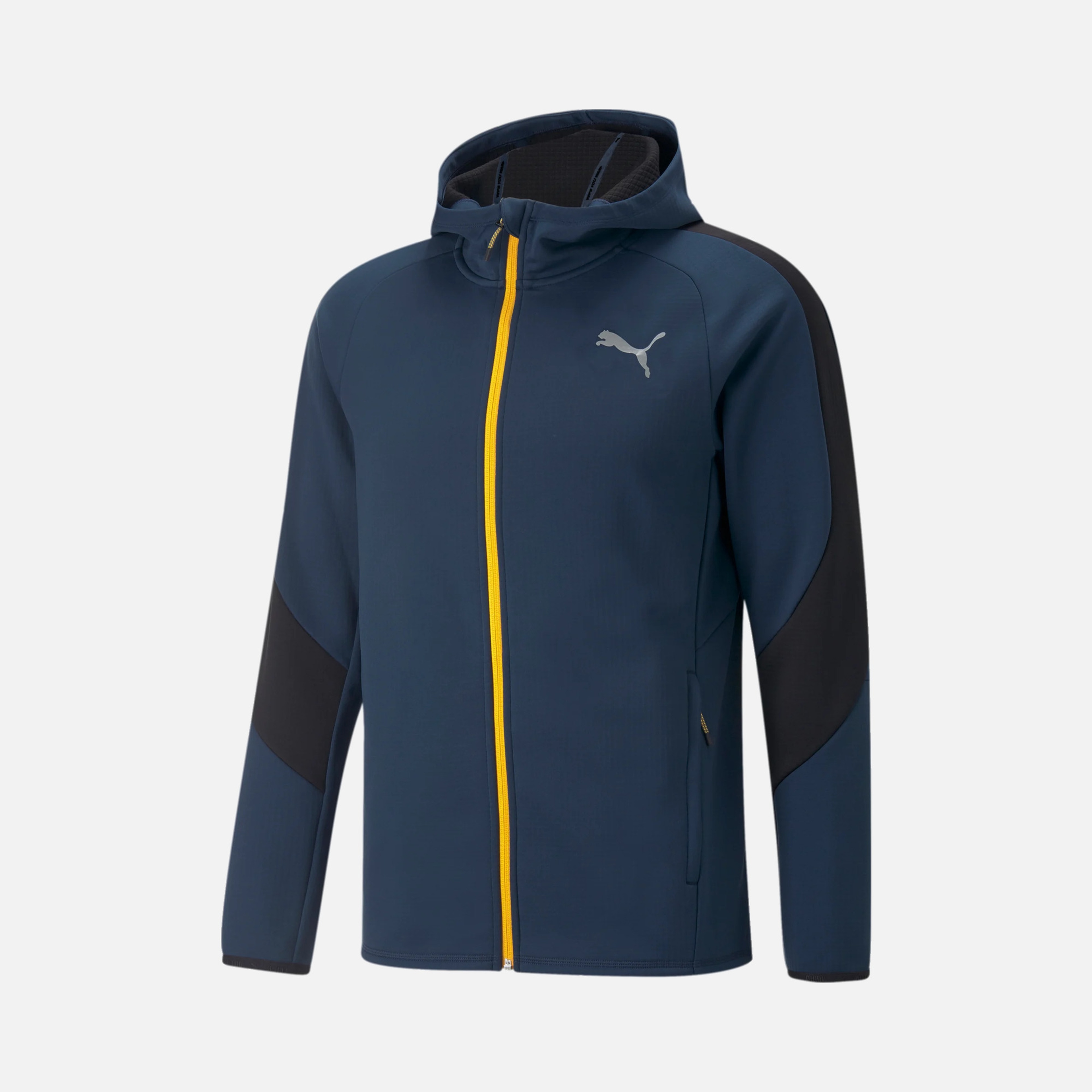 Puma Sportswear Evostripe Warm Full-Zip Hoodie Erkek Sweatshirt