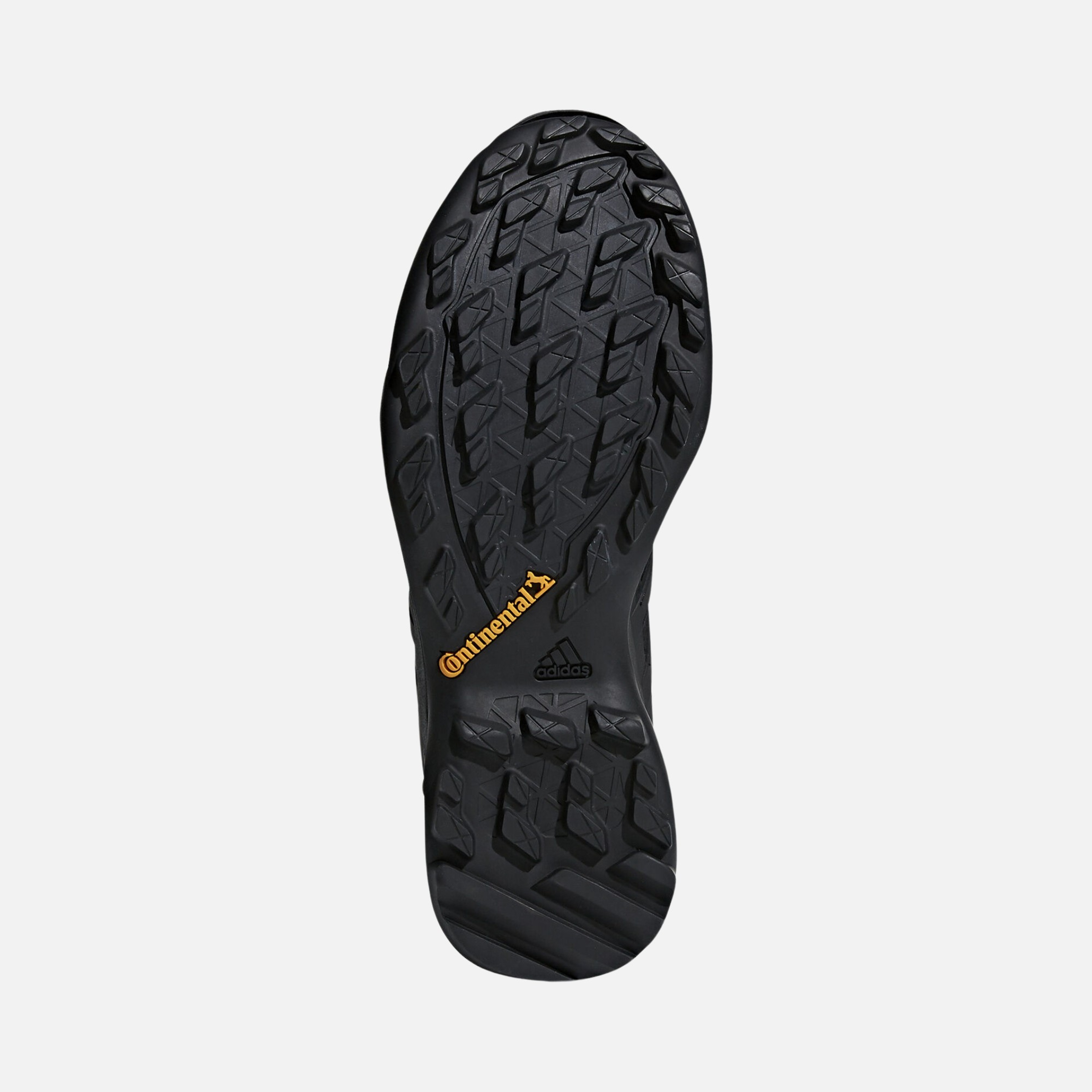 adidas Terrex Swift R2 Gore-Tex Erkek Spor Ayakkabı