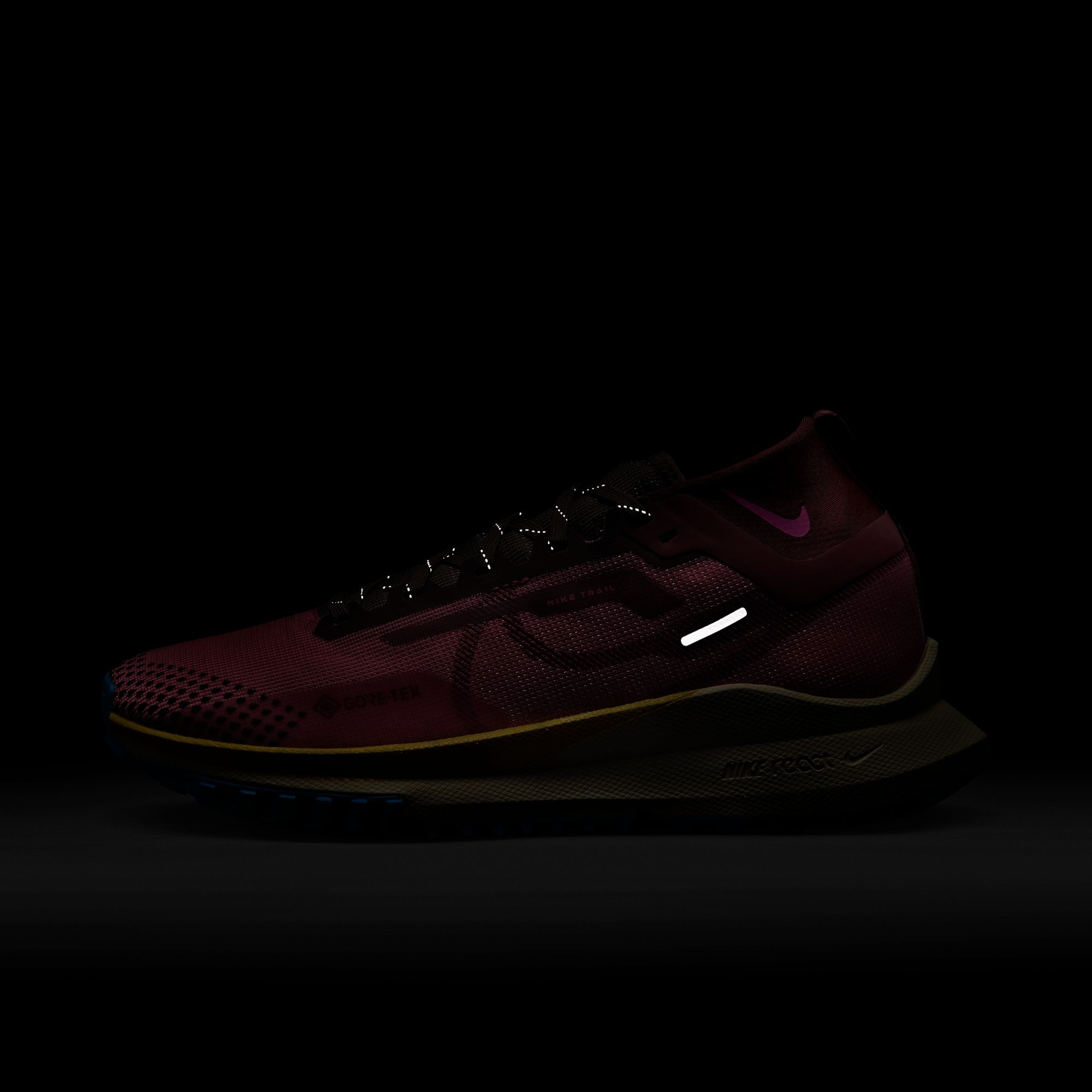 Nike Pegasus Trail 4 Gore-Tex Trail-Running Kadın Spor Ayakkabı