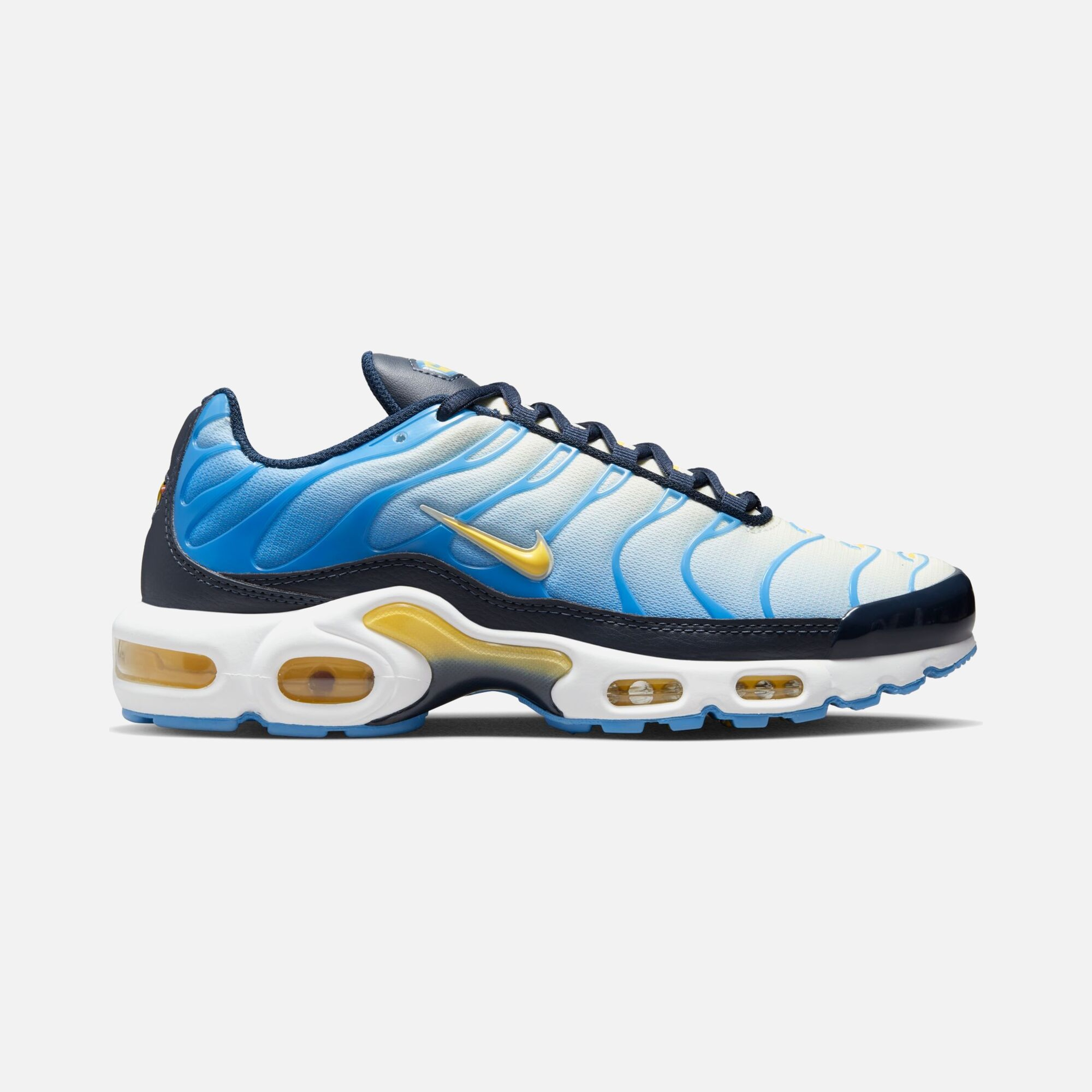 Nike Air Max Plus TN SP23 Kadın Spor Ayakkabı