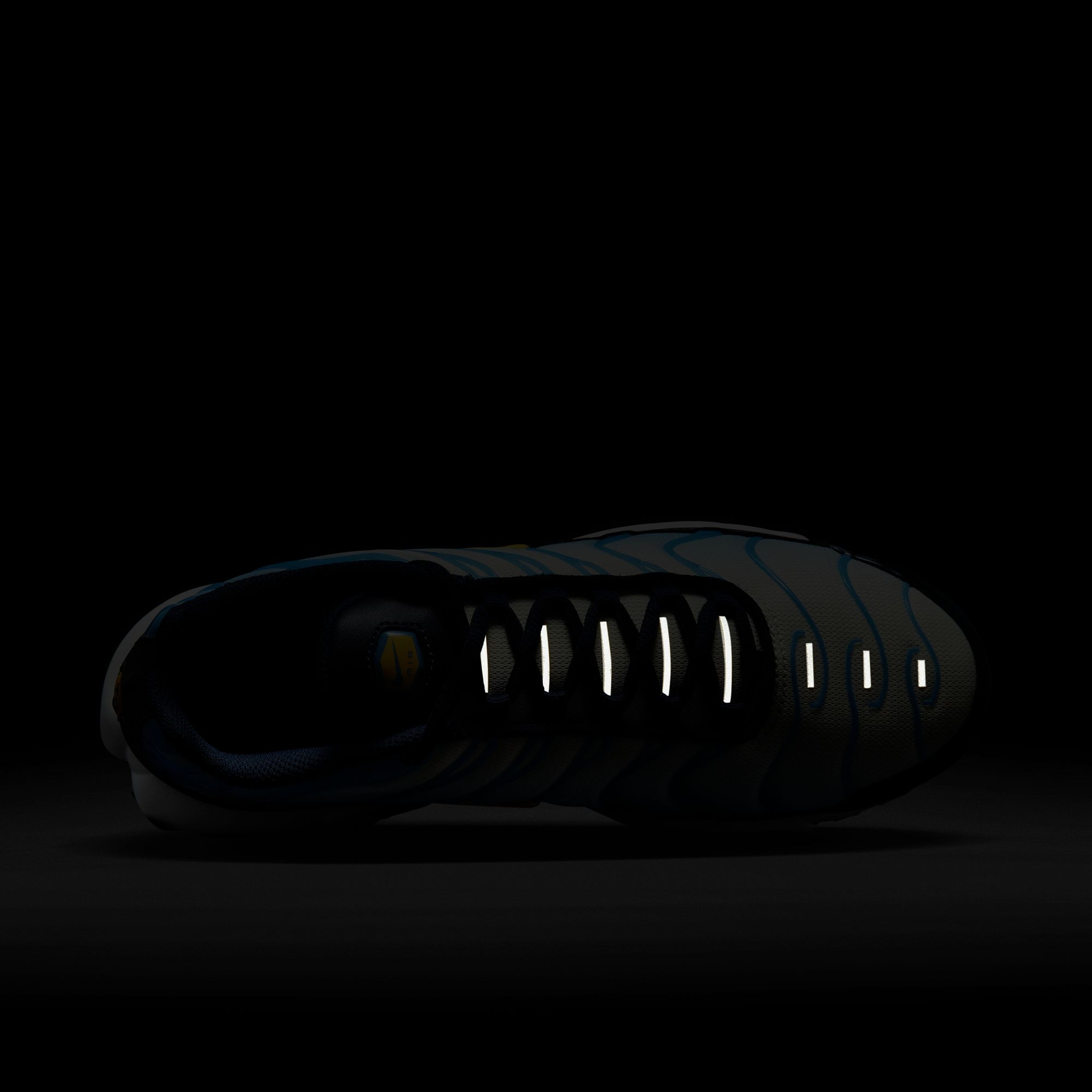 Nike Air Max Plus TN SP23 Kadın Spor Ayakkabı