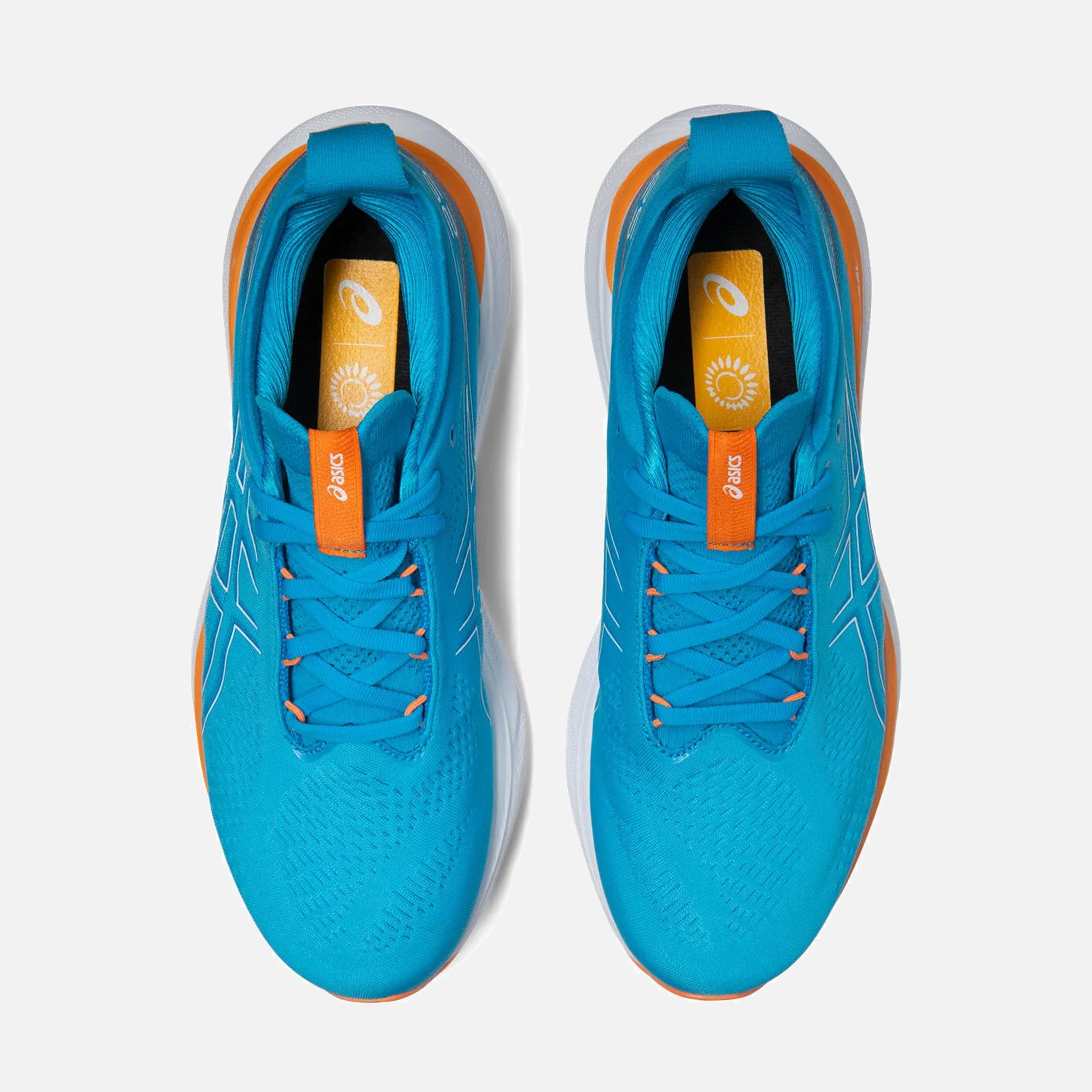 Asics Gel-Nimbus 25 Running Erkek Spor Ayakkabı | Barçın