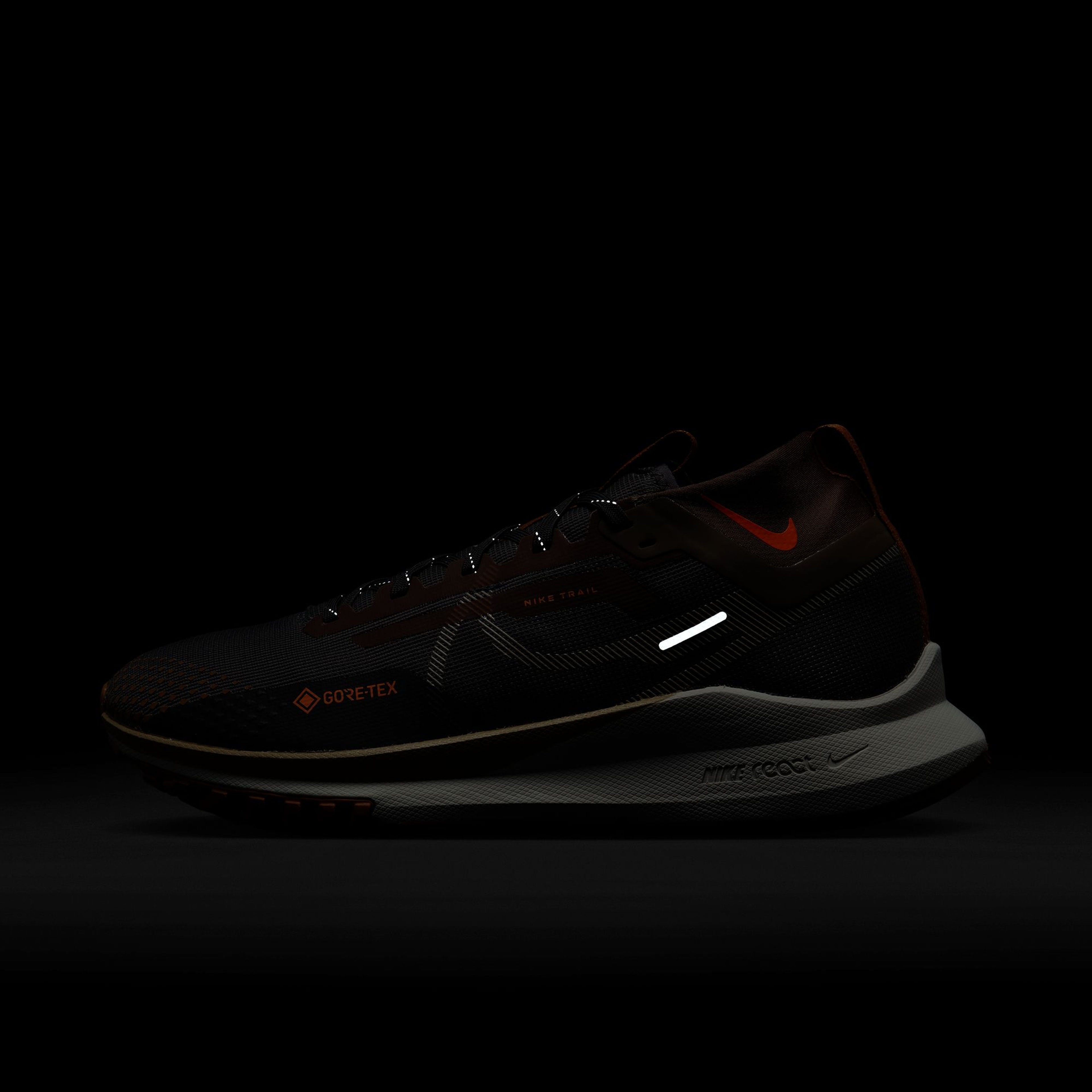 Nike Pegasus Trail 4 Gore-Tex Road Running Erkek Spor Ayakkabı