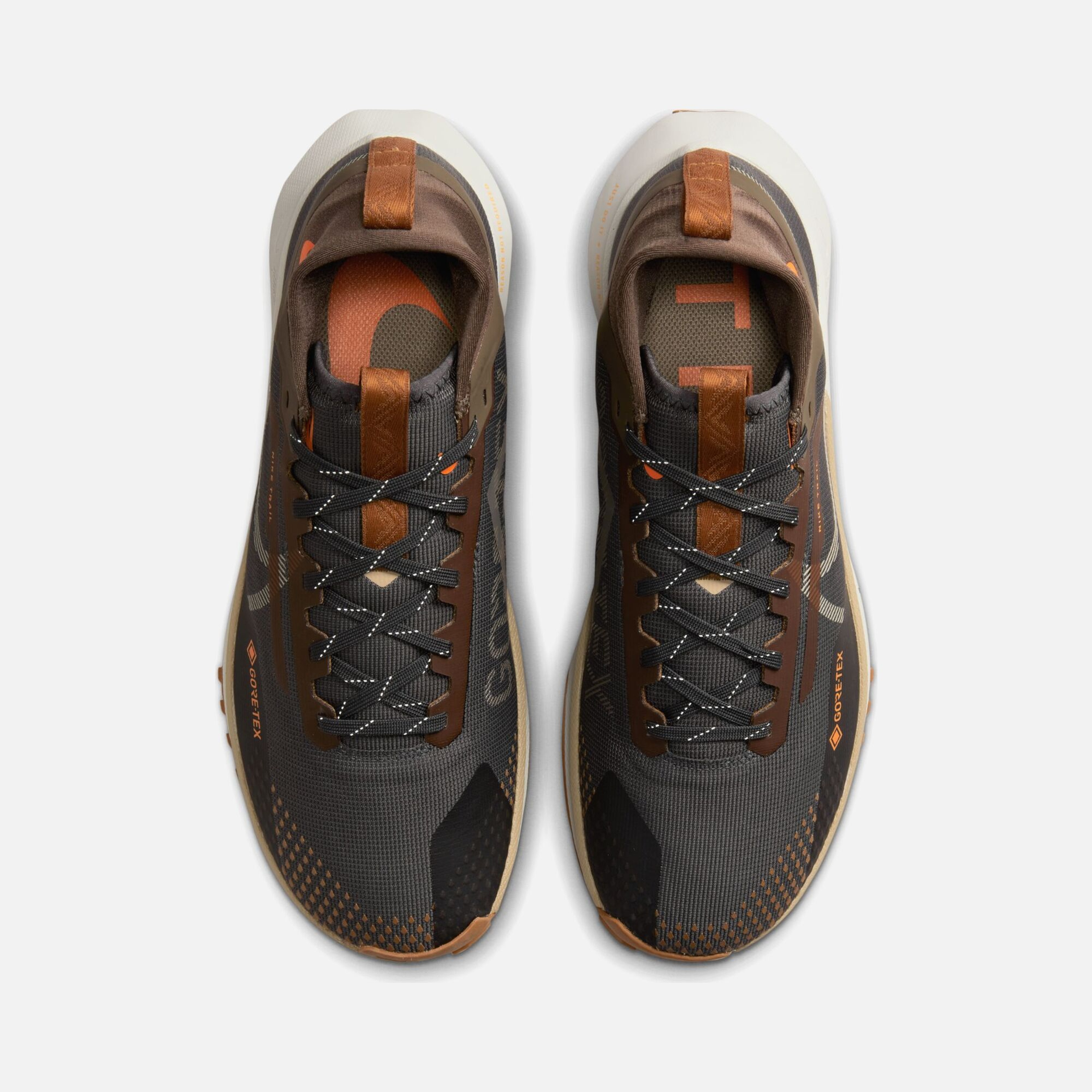 Nike Pegasus Trail 4 Gore-Tex Road Running Erkek Spor Ayakkabı