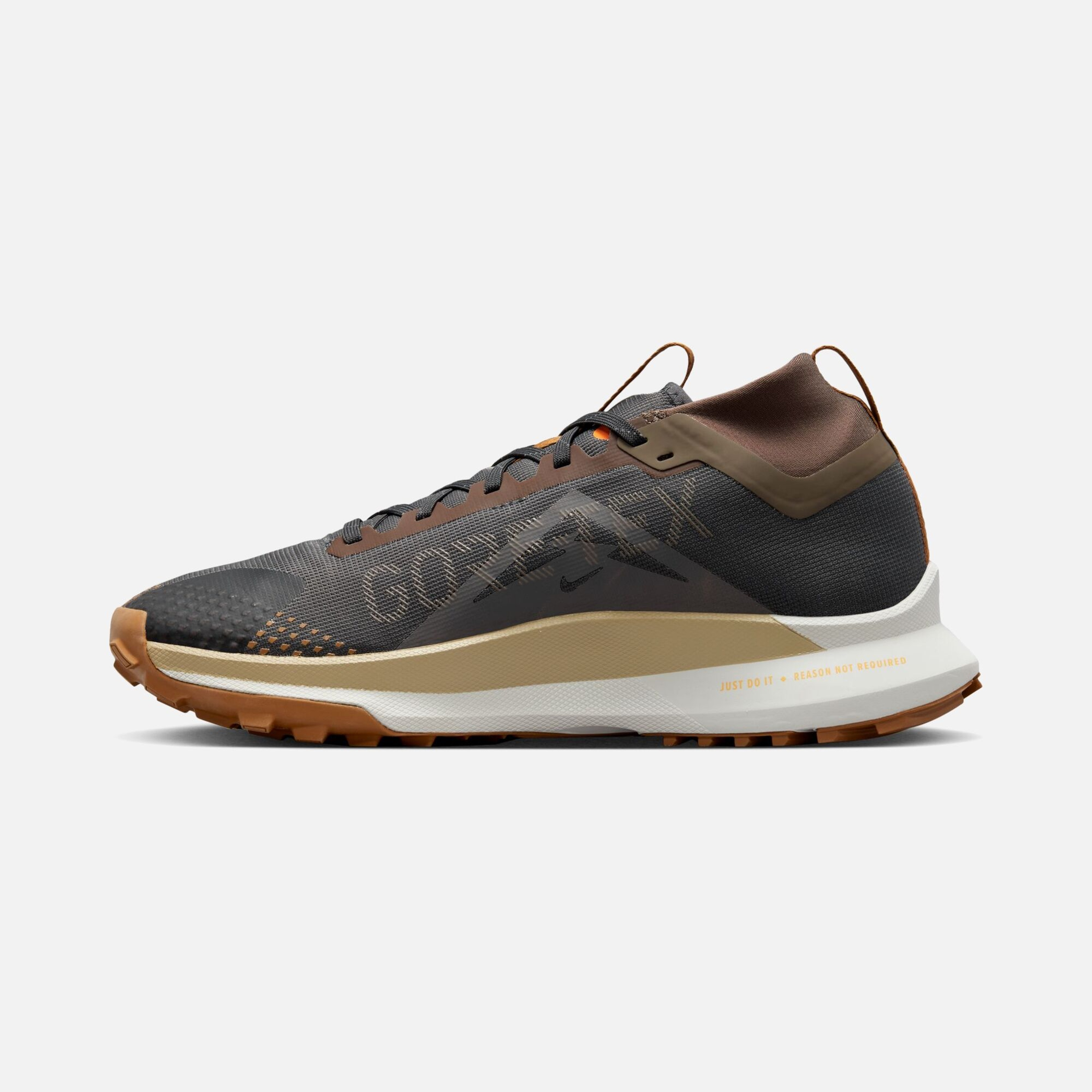 Nike Pegasus Trail 4 Gore-Tex Road Running Erkek Spor Ayakkabı