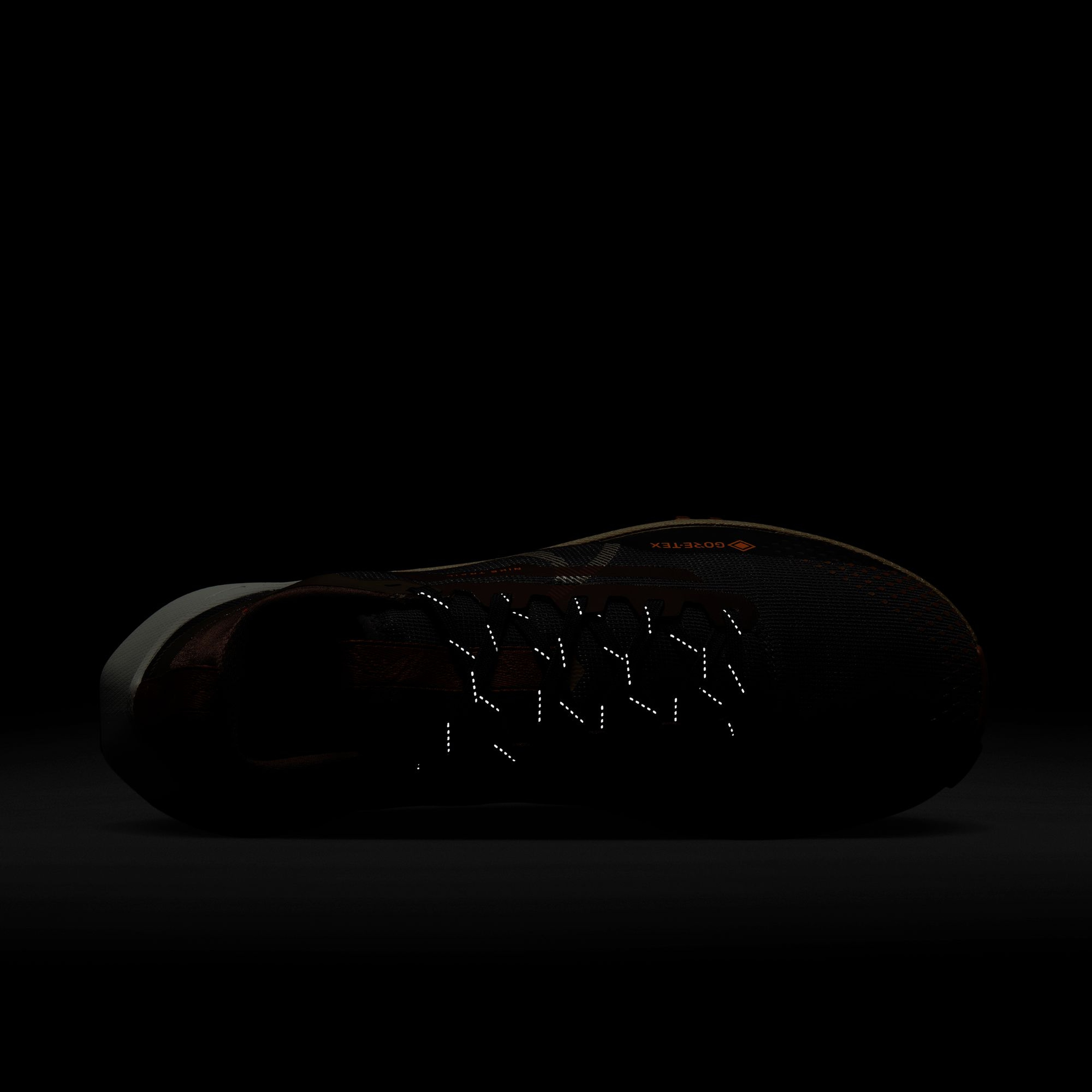 Nike Pegasus Trail 4 Gore-Tex Road Running Erkek Spor Ayakkabı