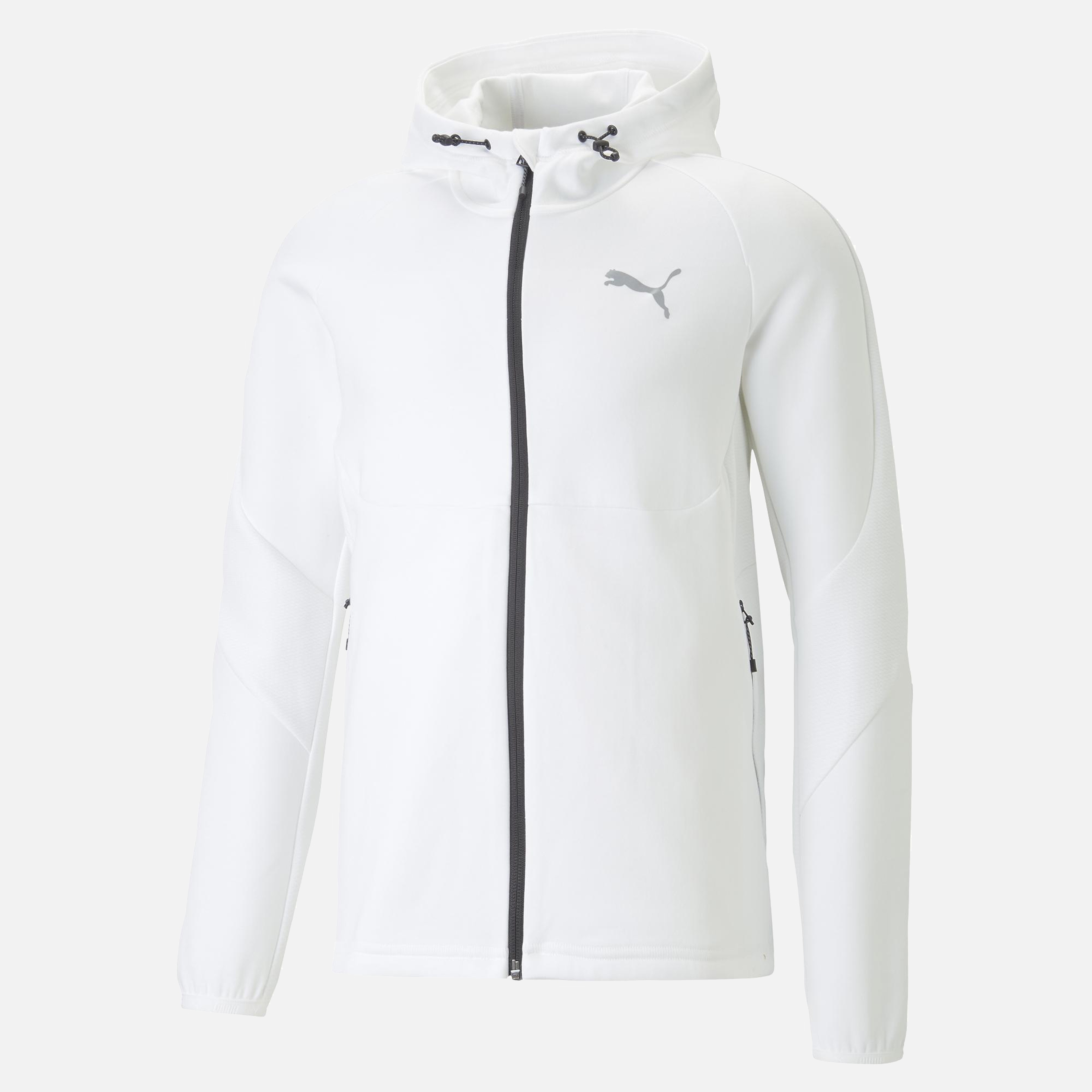 Puma Sportswear Evostripe SS23 Full-Zip Hoodie Erkek Sweatshirt