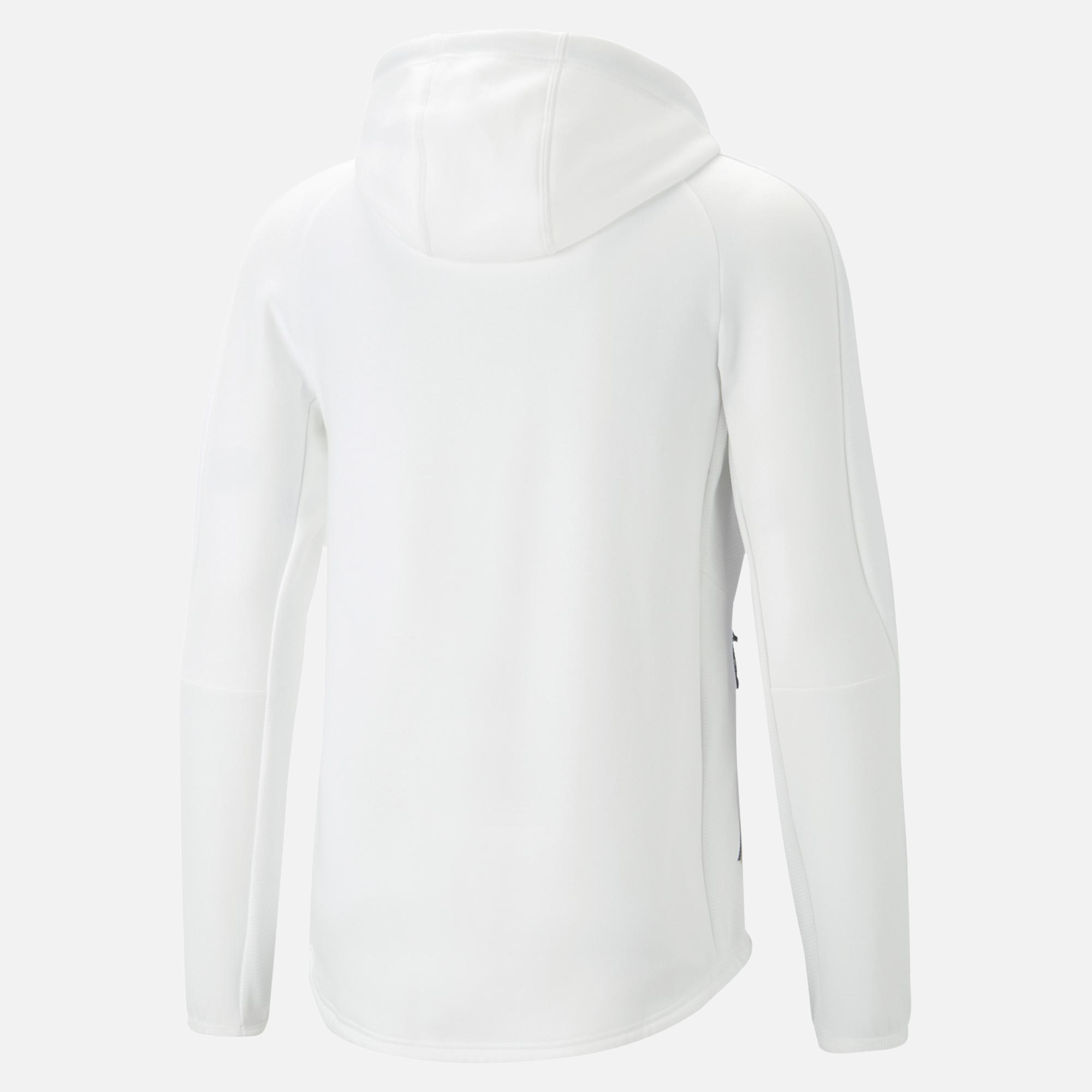 Puma Sportswear Evostripe SS23 Full-Zip Hoodie Erkek Sweatshirt