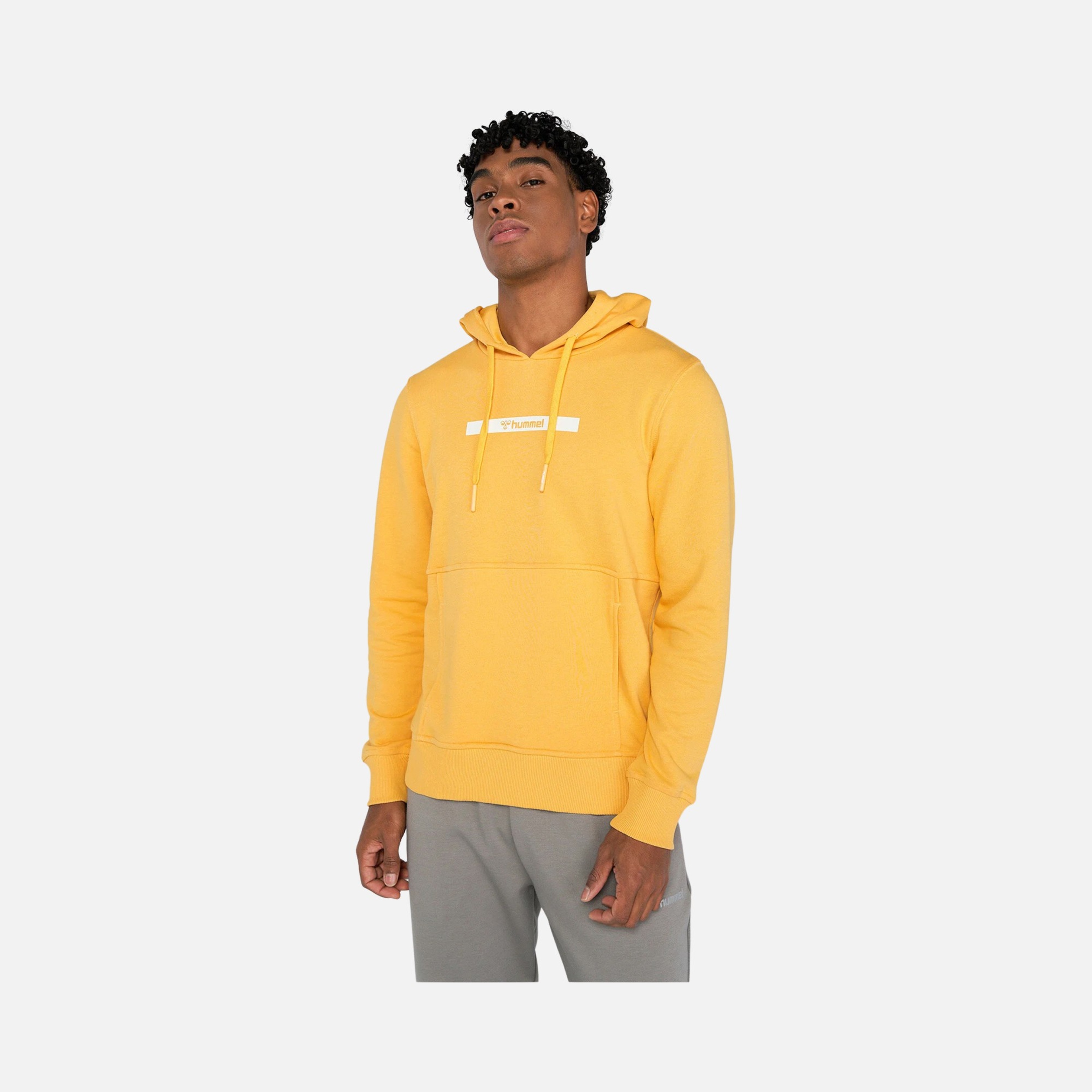 Hummel Sportswear Frank Hoodie Erkek Sweatshirt