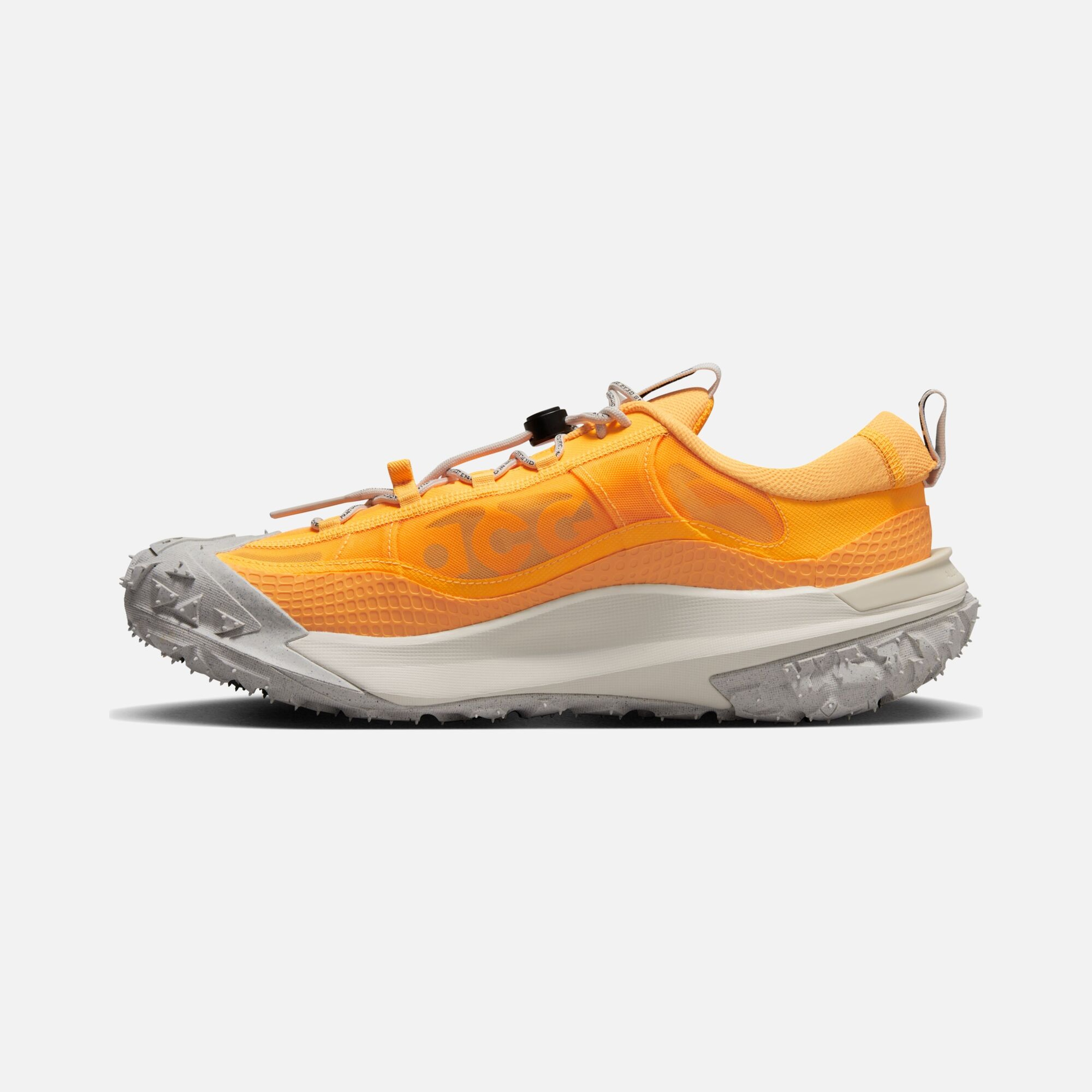 Nike ACG Mountain Fly 2 Low Trail Erkek Spor Ayakkabı