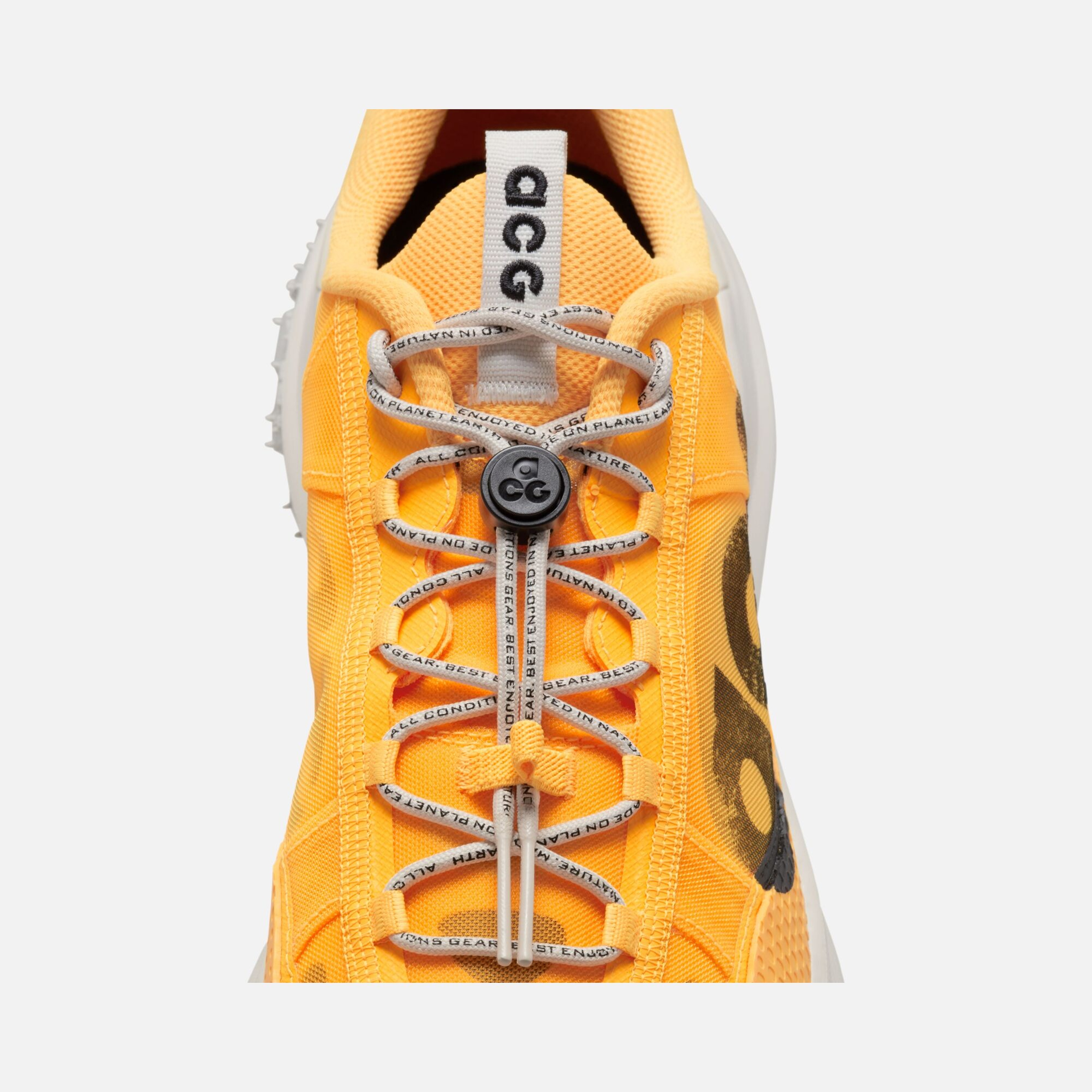 Nike ACG Mountain Fly 2 Low Trail Erkek Spor Ayakkabı