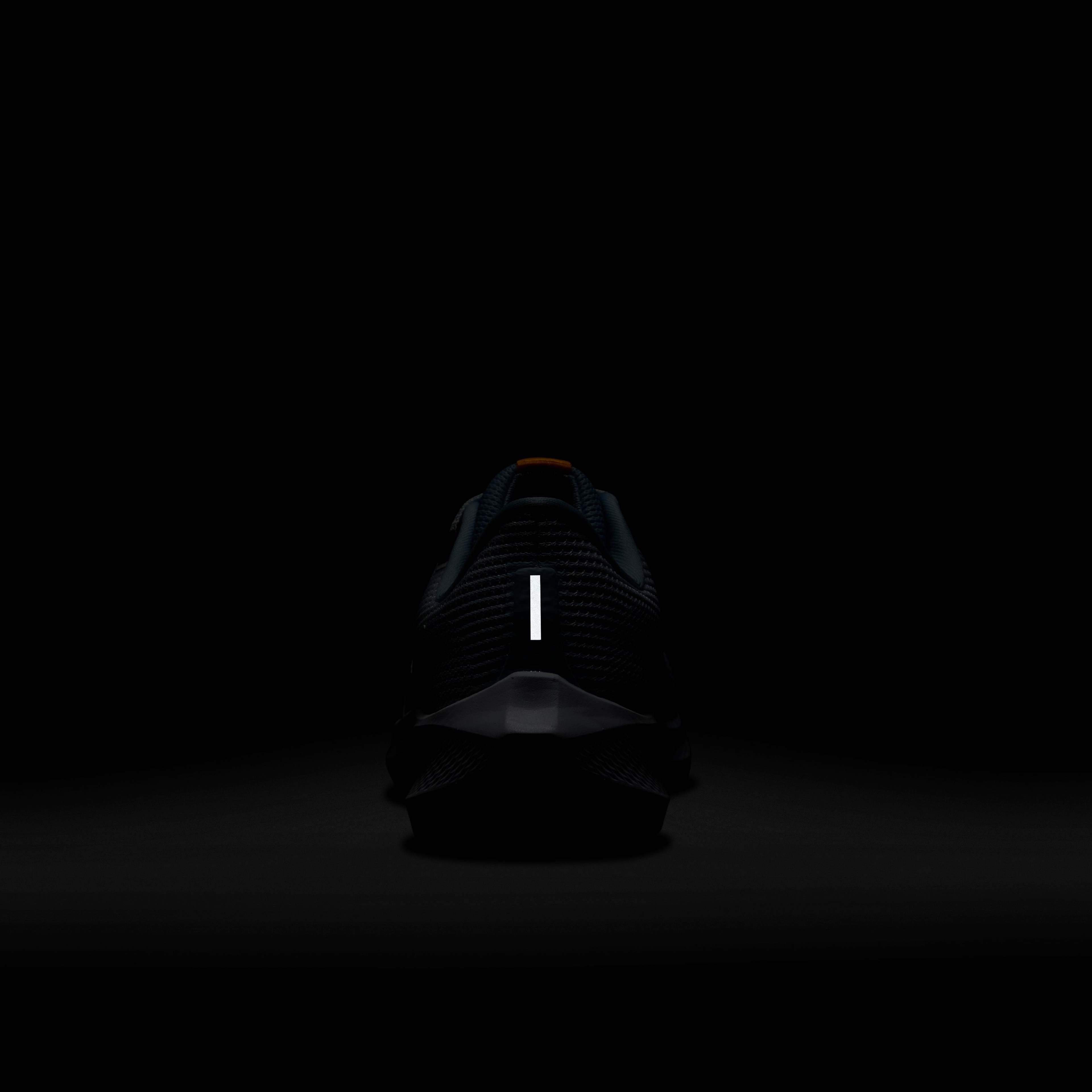 Nike Pegasus 40 Road Running Kadın Spor Ayakkabı