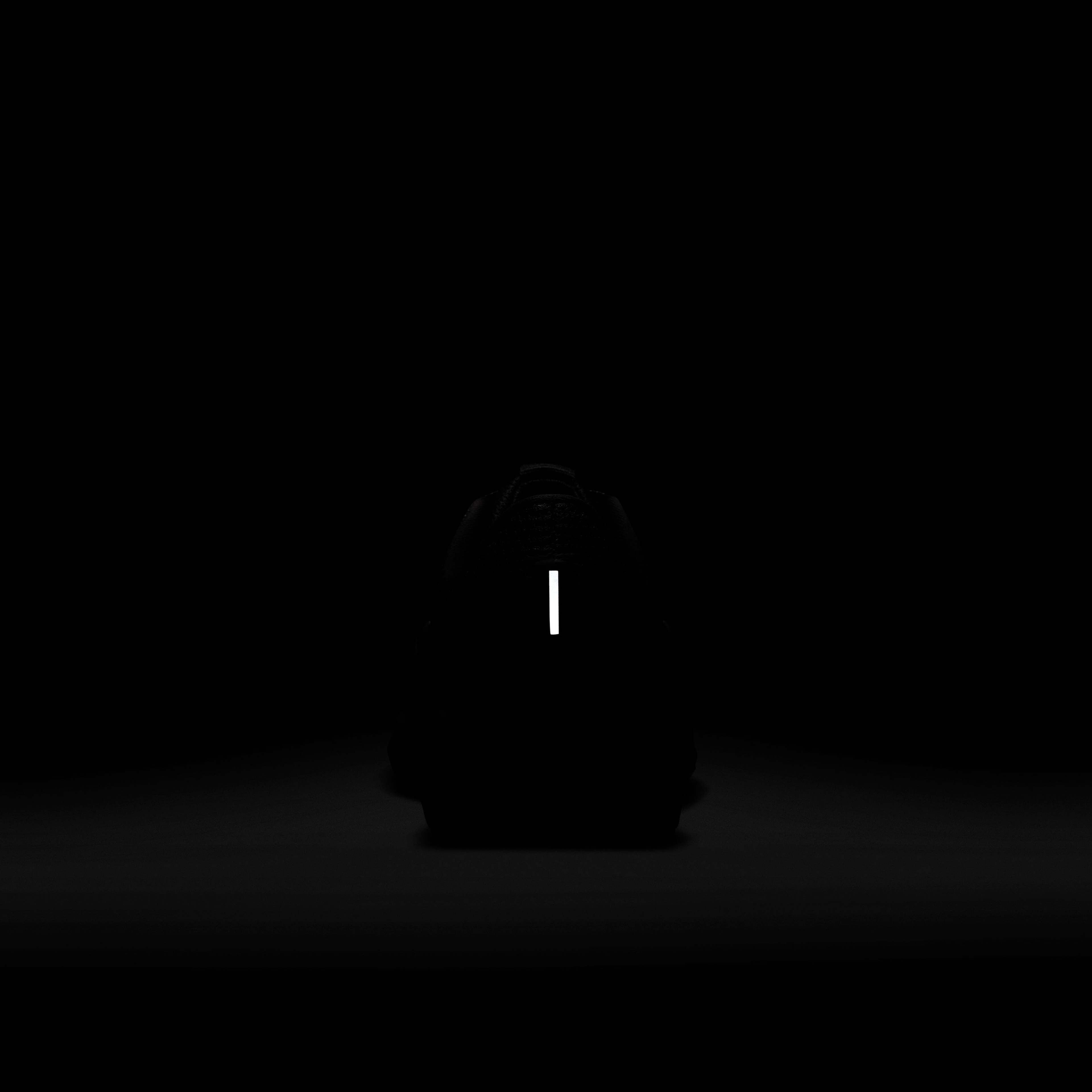 Nike Pegasus 40 Road Running Kadın Spor Ayakkabı