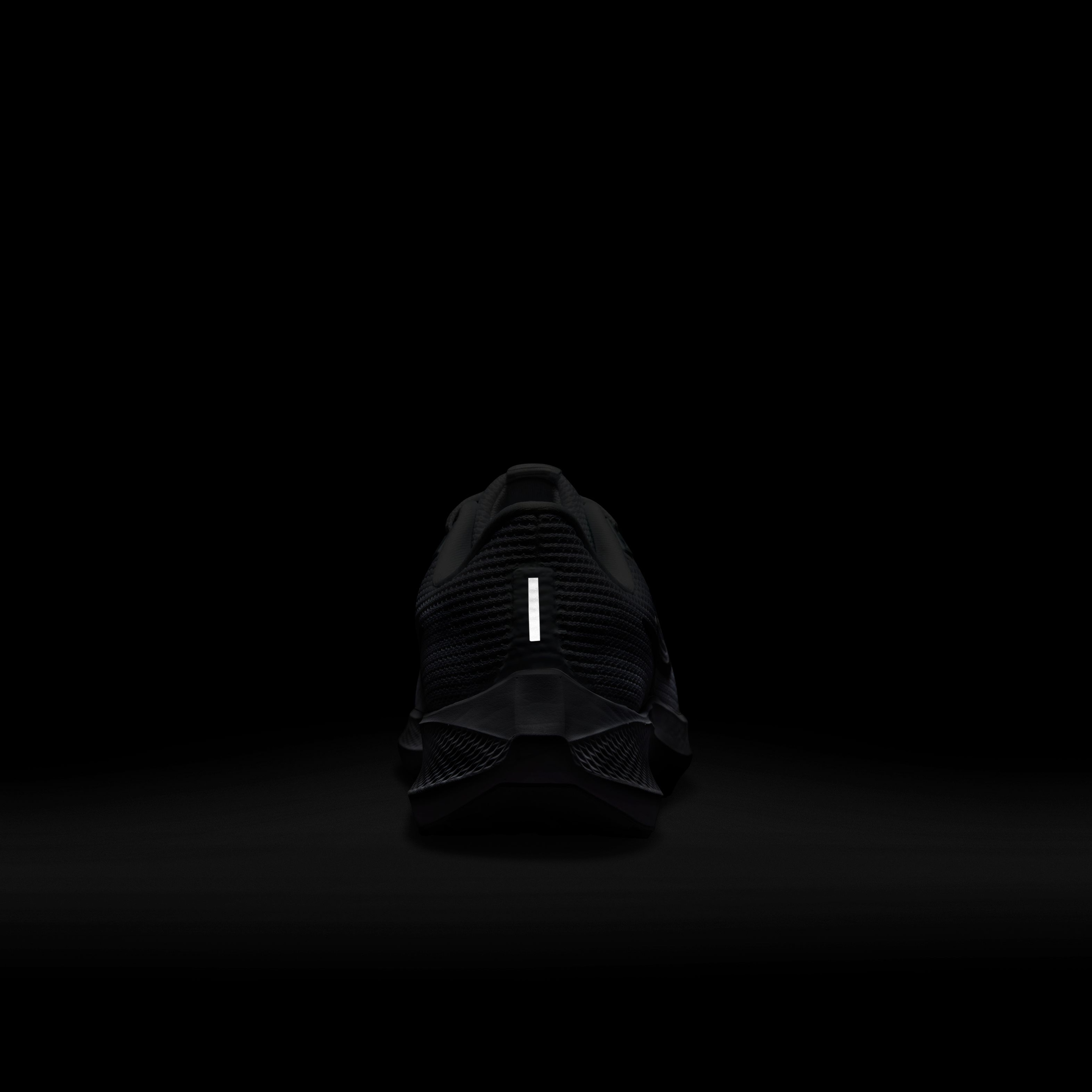 Nike Pegasus 40 Road Running Kadın Spor Ayakkabı